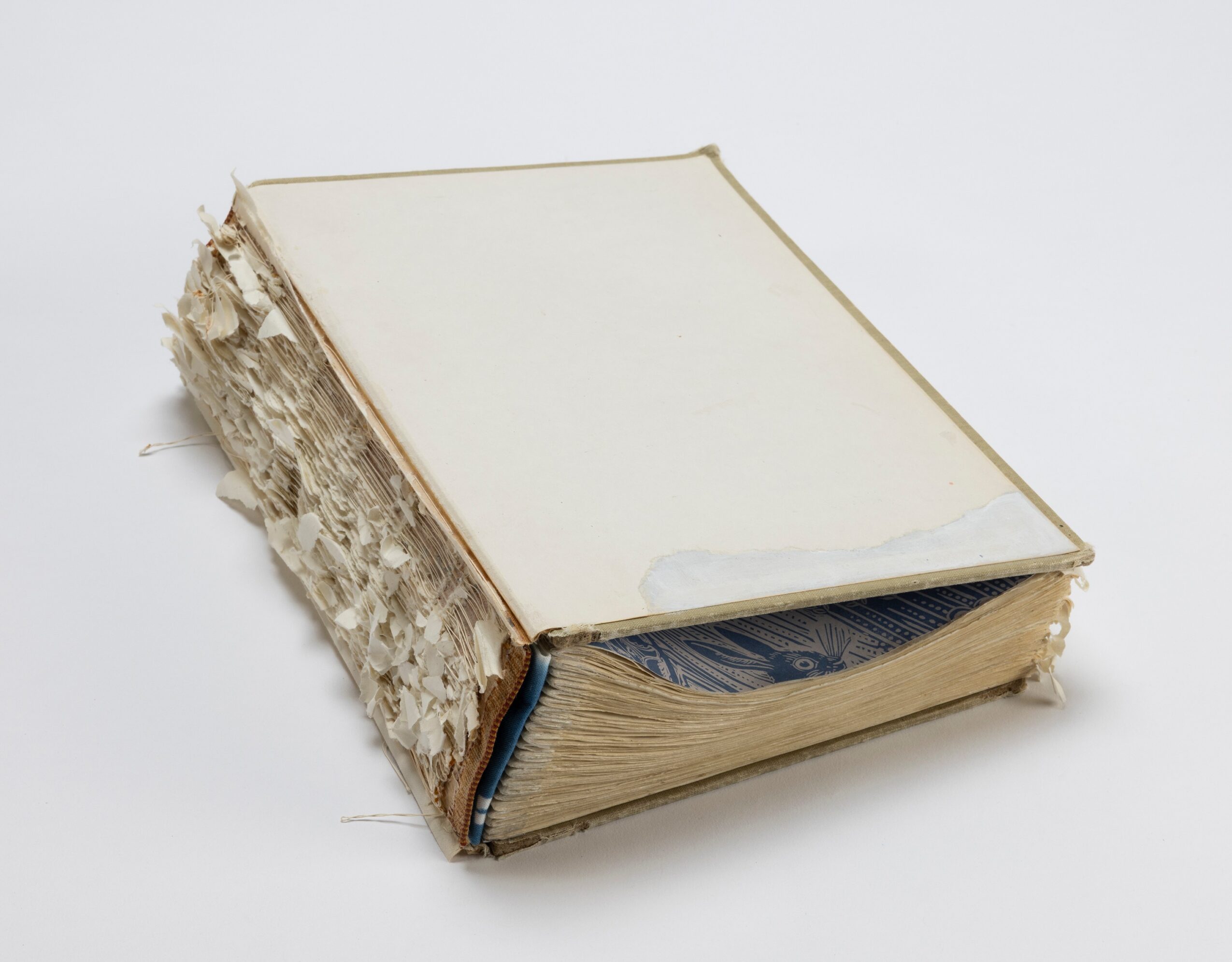 Old, damaged book with torn and frayed edges, lying flat on a white surface.
