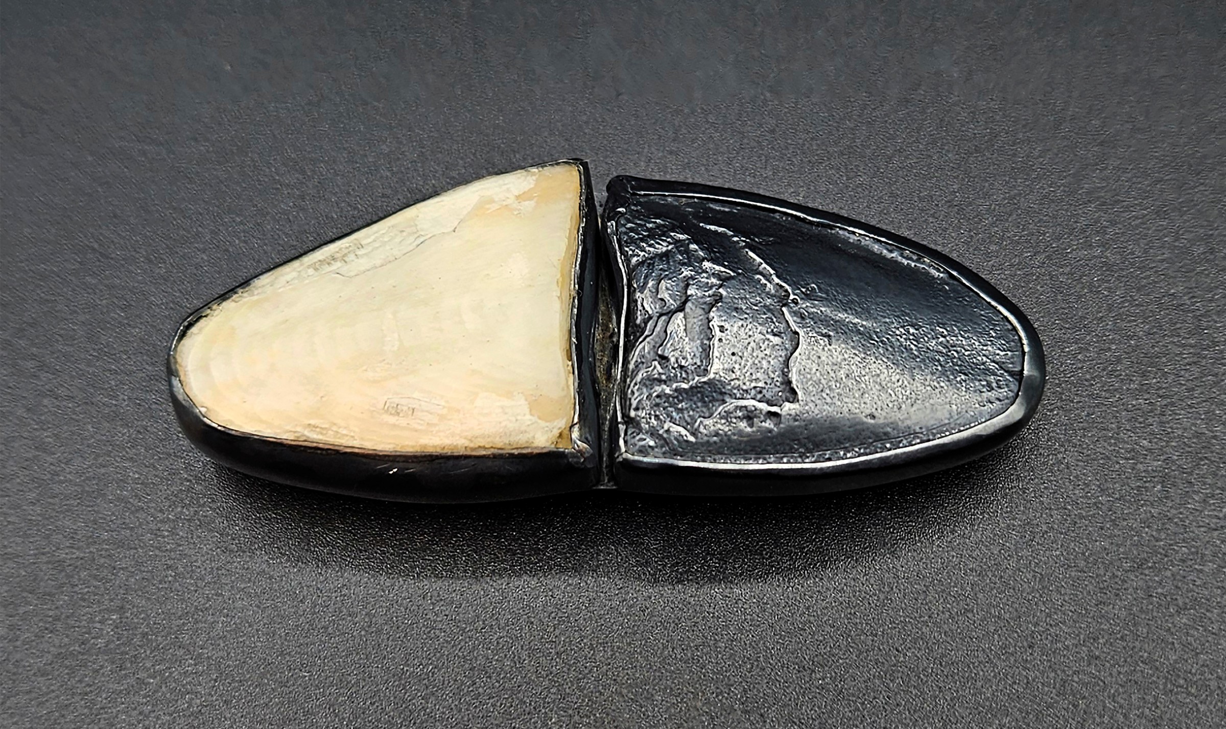 Two halves of a shell, one light-colored and one dark, placed side by side on a dark surface.