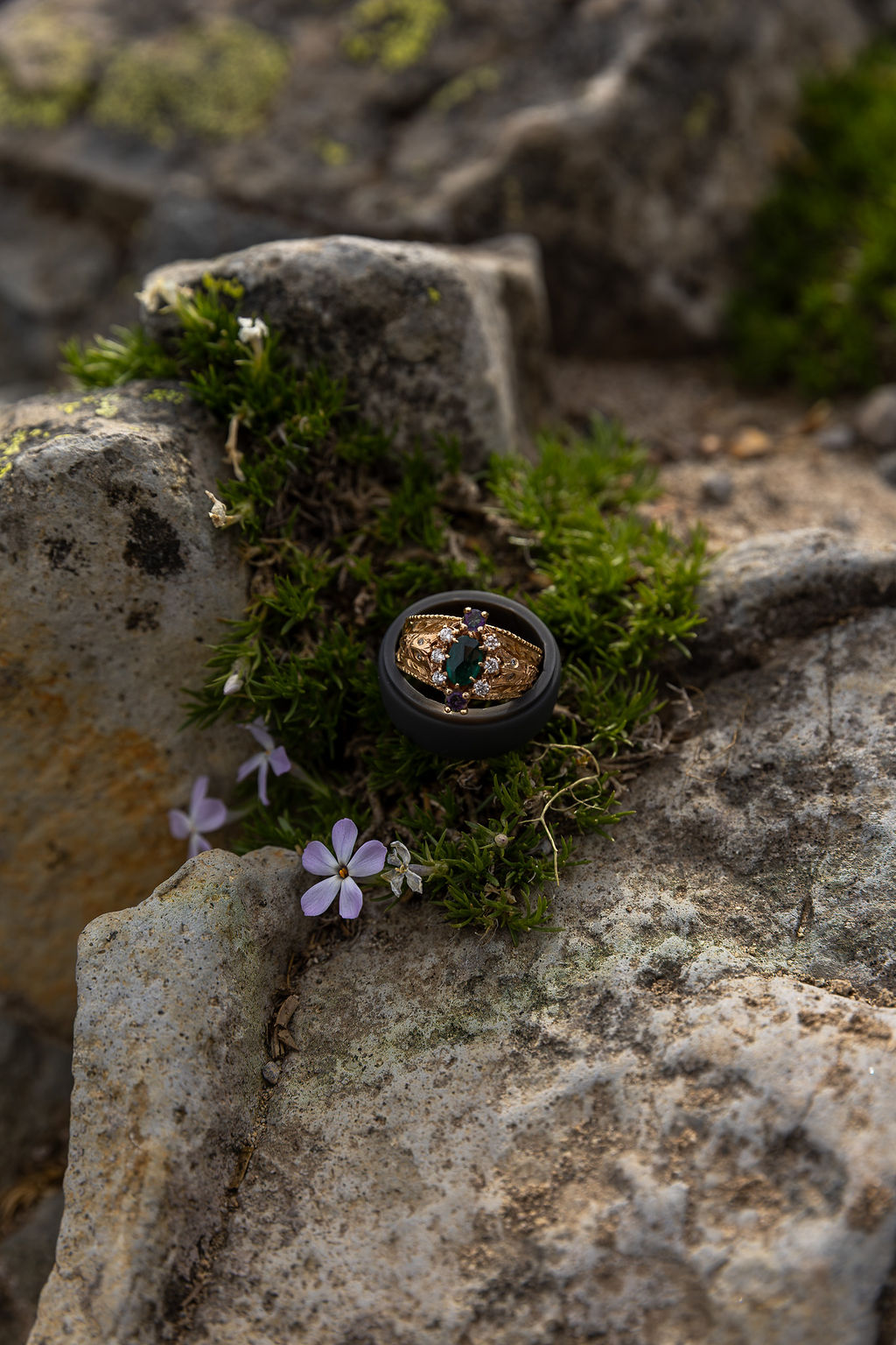 Camera lens among rocks, moss, and small purple flowers outdoors, with natural background.
