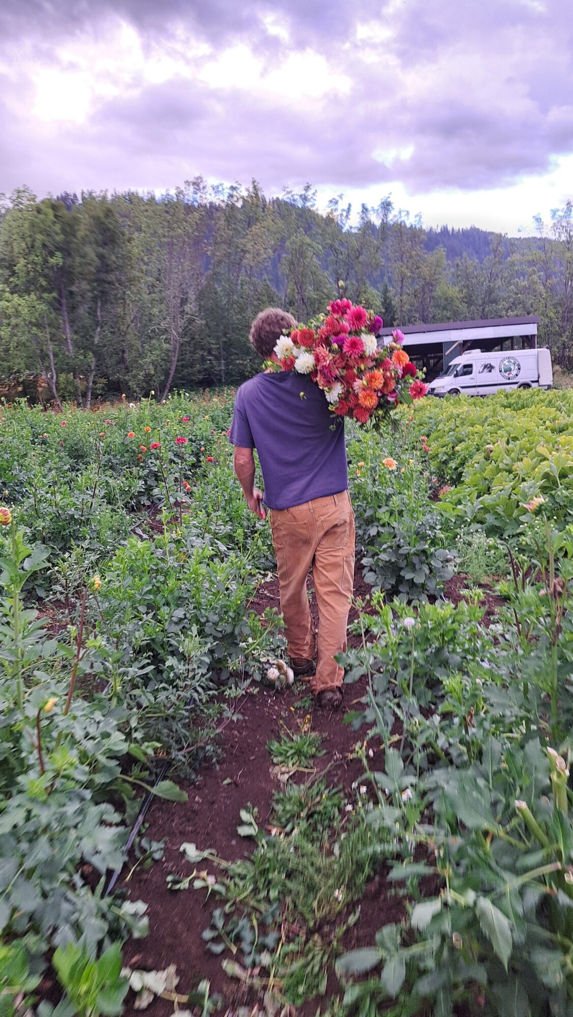 Person tending to plants in a garden with a flower arrangement nearby, surrounded by greenery and cloudy sky.