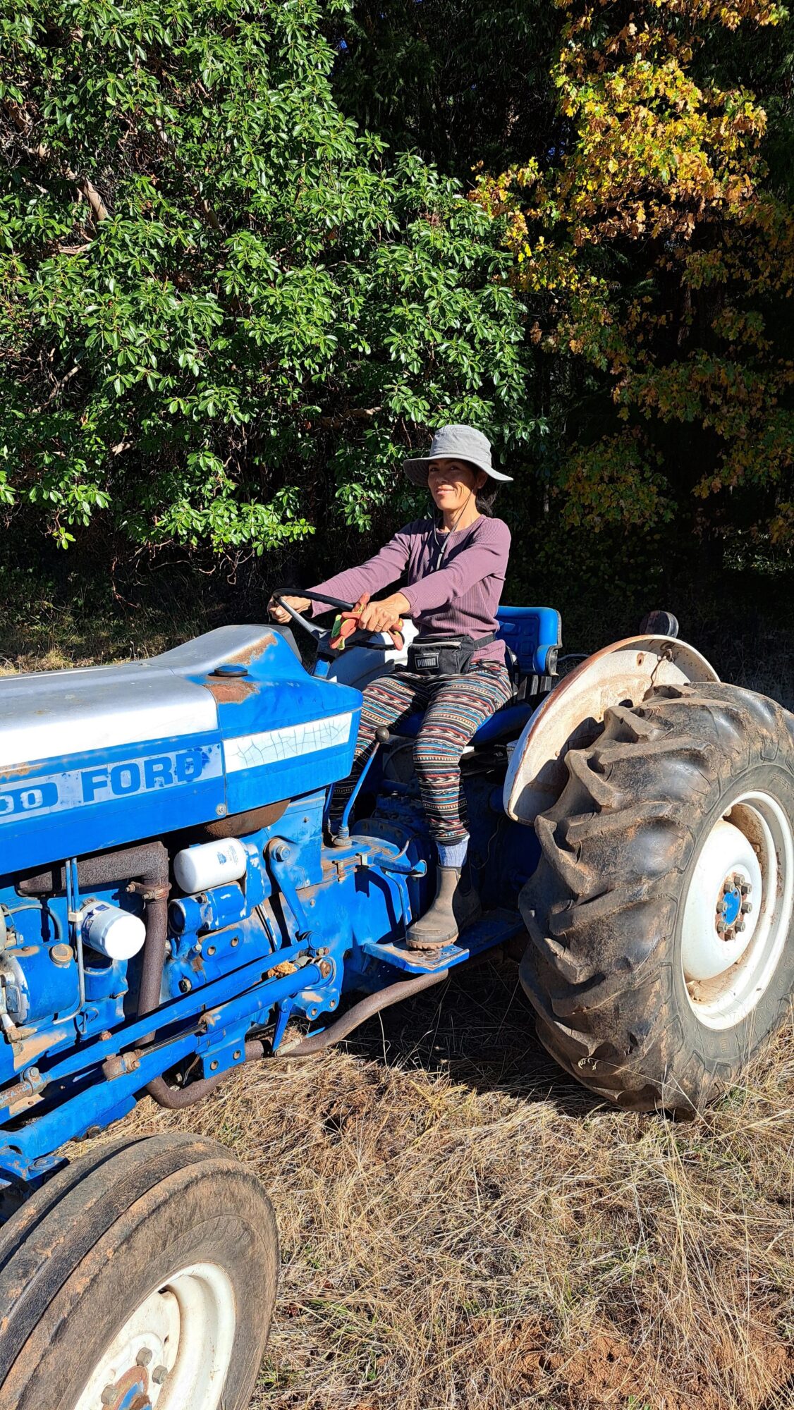Person standing next to a blue tractor in a grassy area with trees, facing sideways.