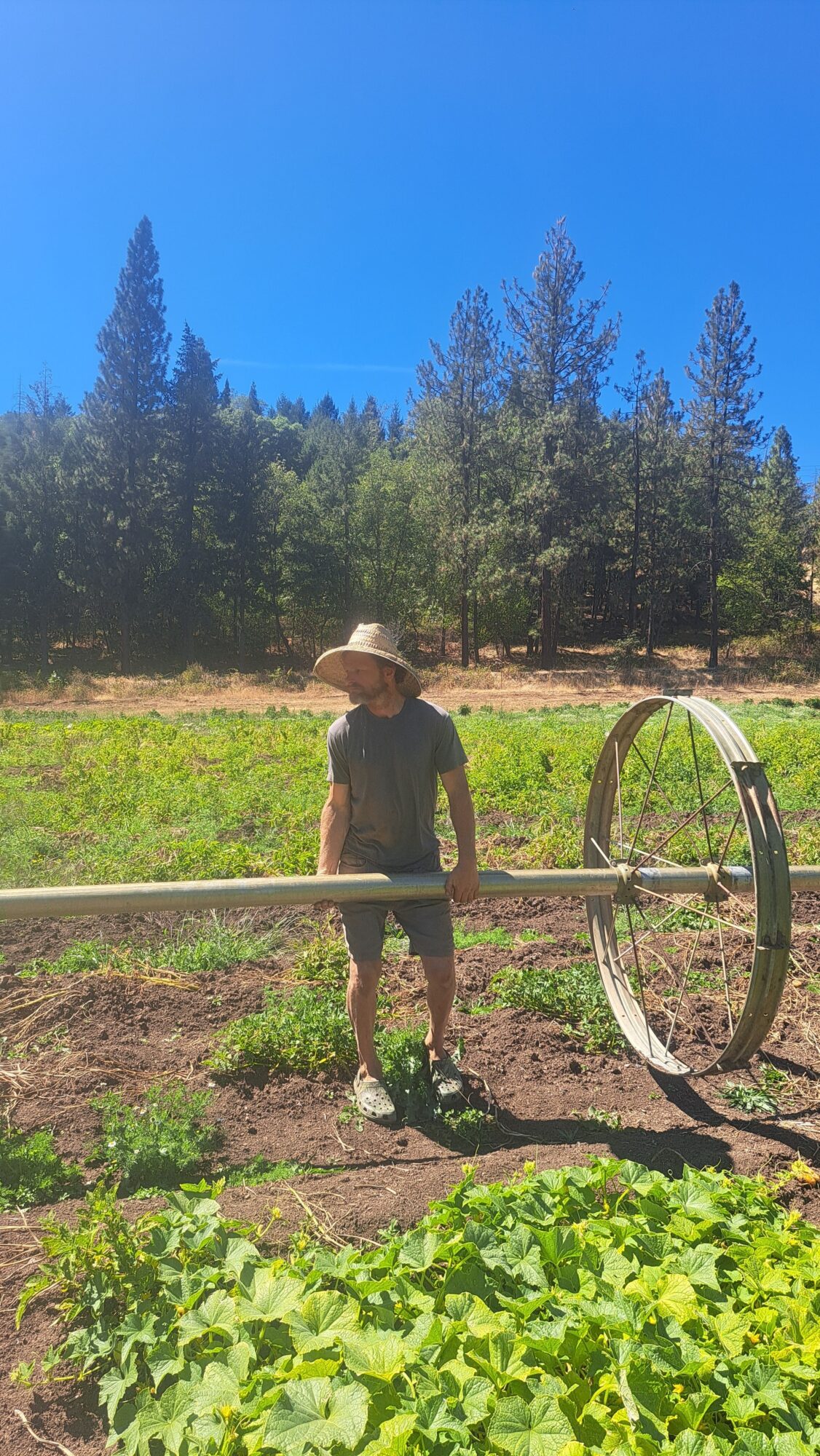 Person standing outdoors near a circular metal structure, with trees and a clear blue sky in the background.