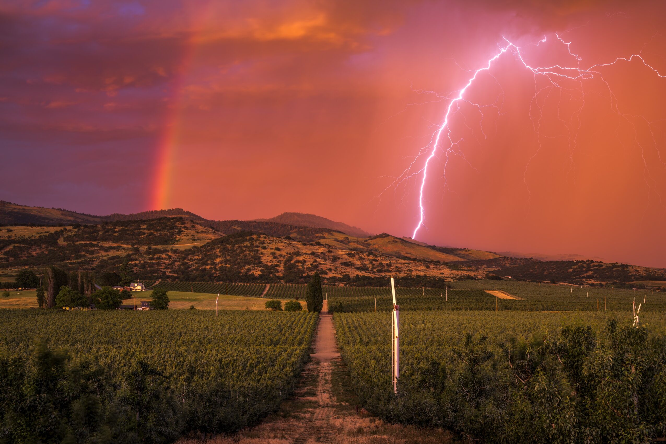 Vineyard with a dirt path, lightning storm with a lightning bolt and rainbow in the sky, hills in the background.