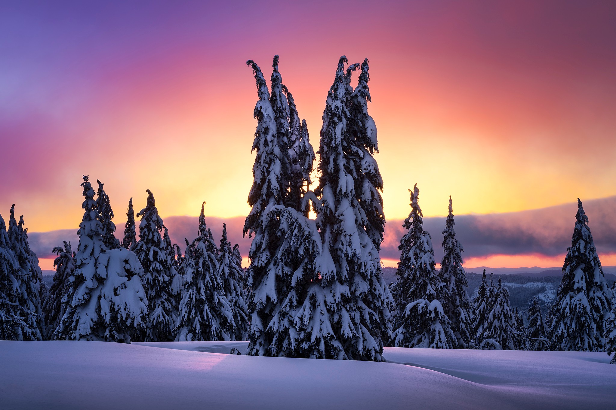 Snow-covered trees in a forest at sunset with colorful sky, snow on ground, peaceful winter scene.