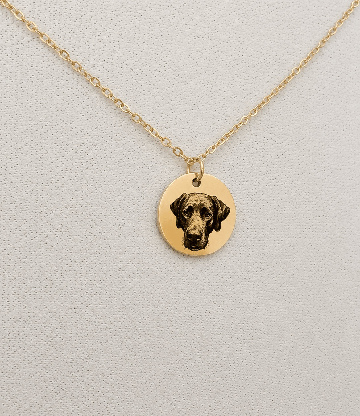 Gold necklace with a round pendant featuring a black and brown dog's face, on a light background.
