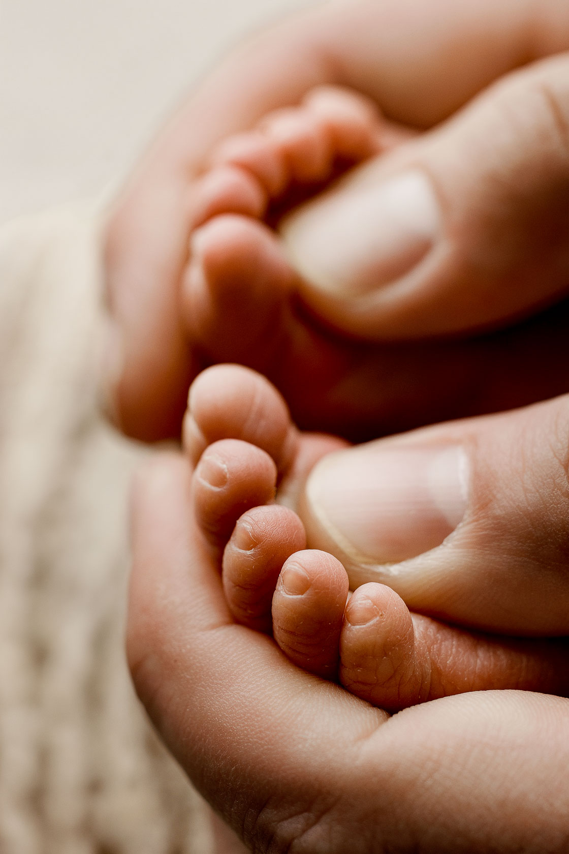 Adult hand gently holding a baby's tiny hand and fingers, close-up, soft background