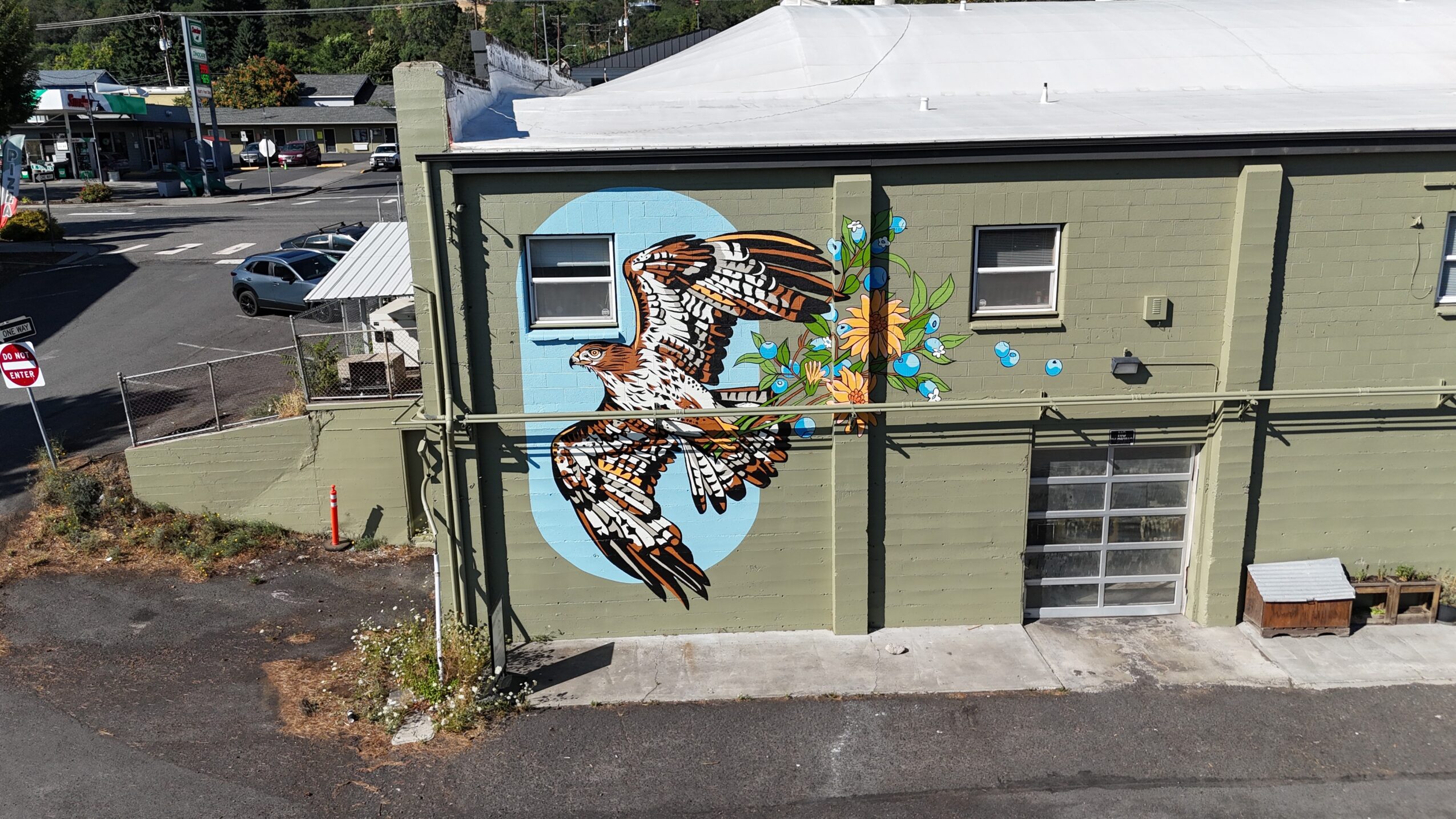 Murale of a bird with a paintbrush, colorful splashes, on a green building wall, with a fence in front.
