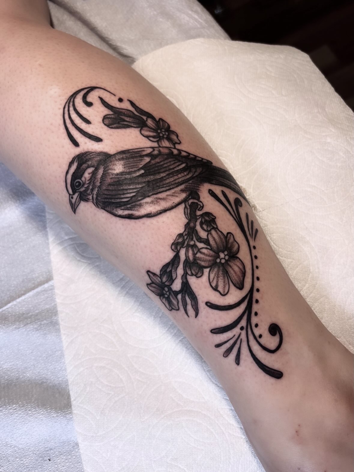 Black ink tattoo of a bird with floral and decorative elements on a person's arm.