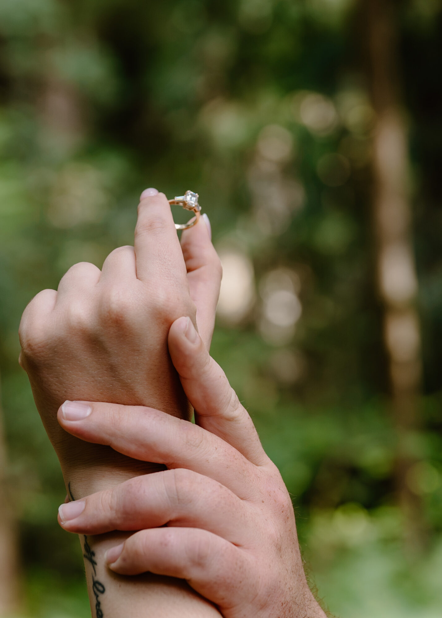 Two hands holding a small object with a blurred green outdoor background.