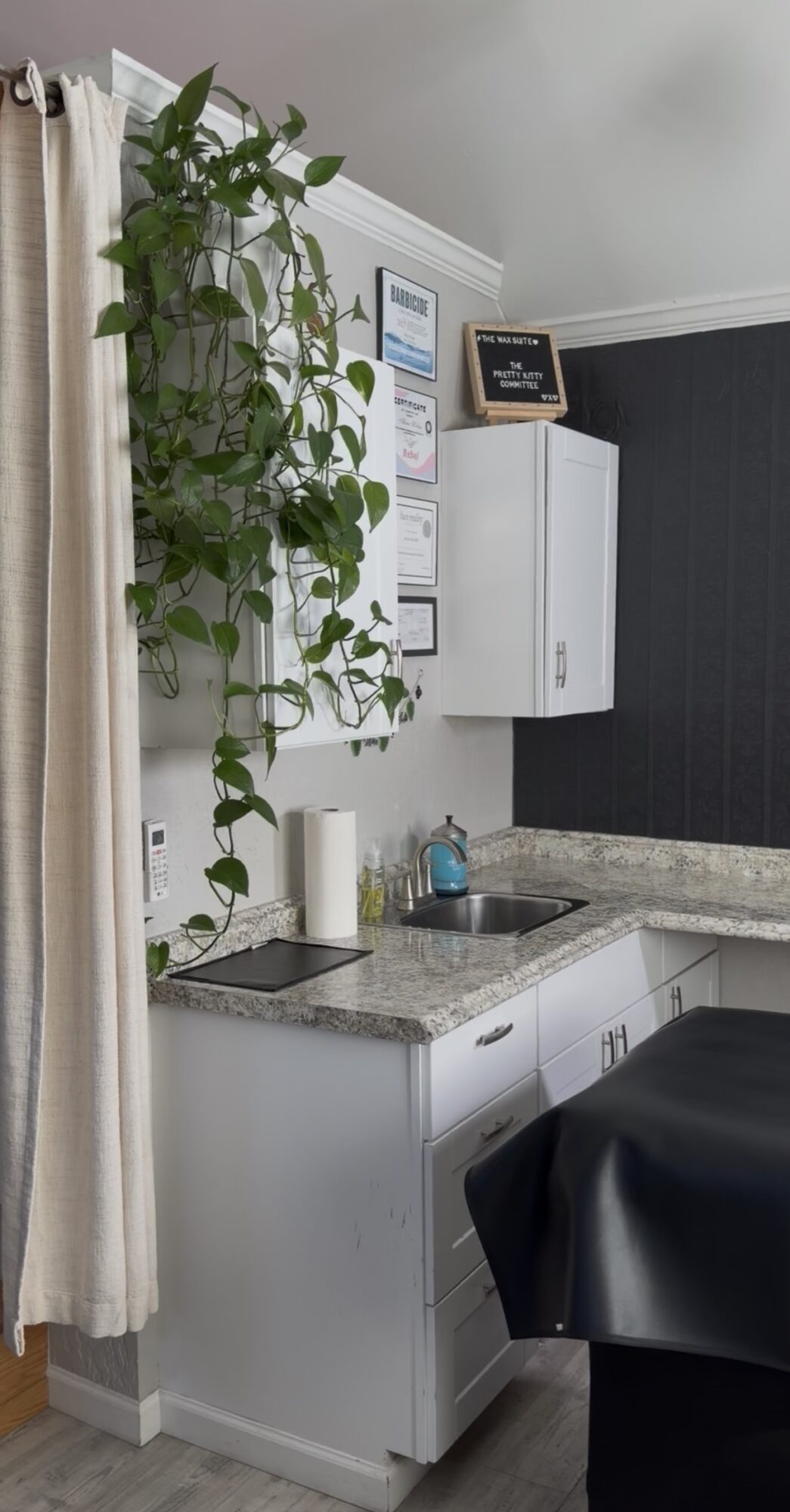 Kitchen corner with white cabinets, a granite countertop, a plant hanging from the ceiling, and a black wall.