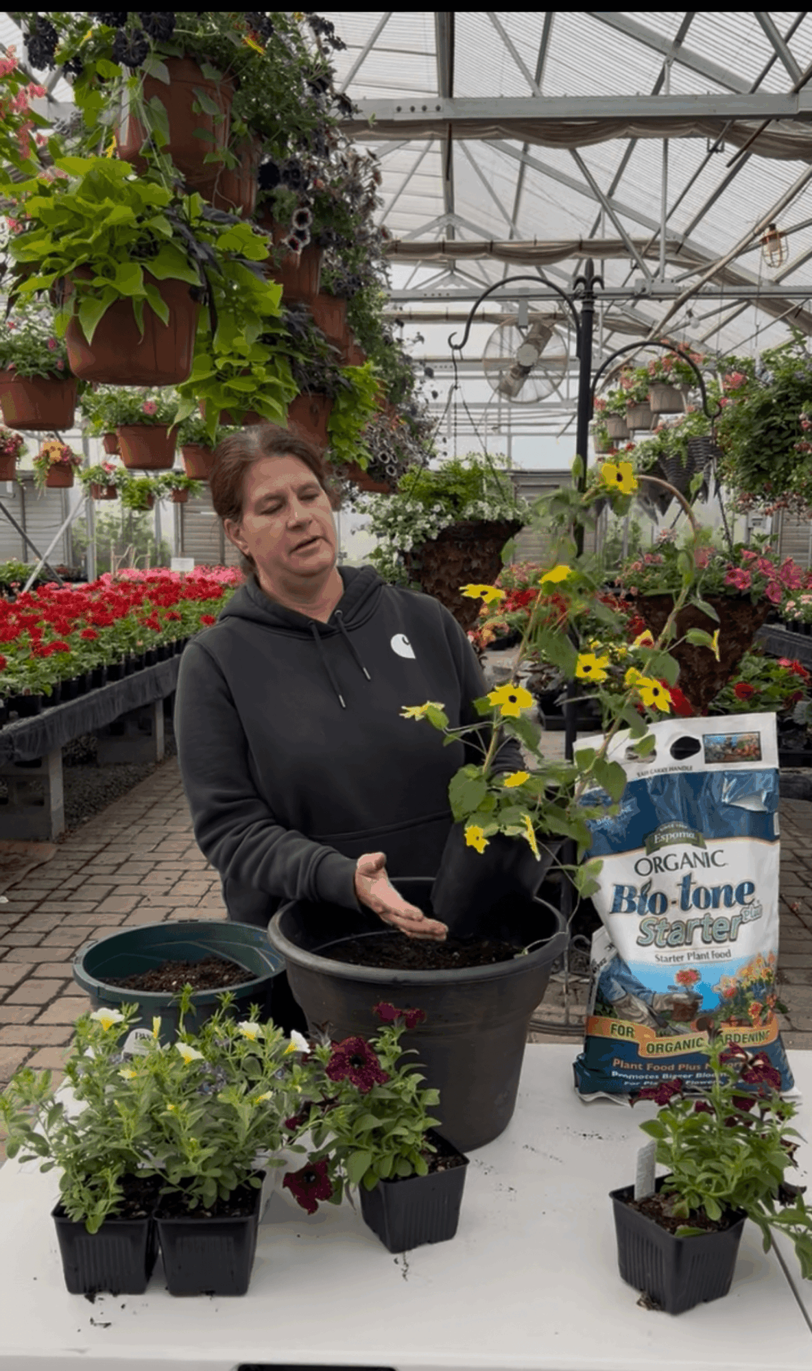 Woman in a greenhouse holding a yellow flower in a pot, surrounded by plants and gardening supplies.