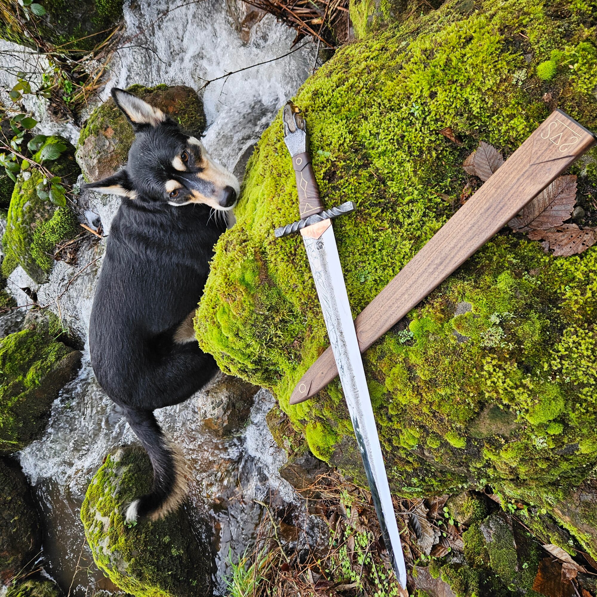 A black and white dog with pointy ears and a bushy tail stands on mossy rocks near a stream, with a sword and wooden plank on moss.