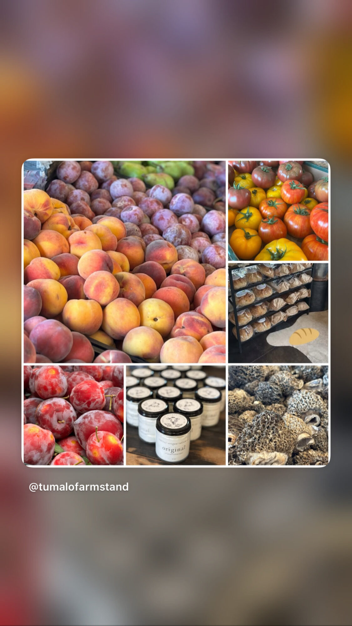 Collage of various fruits including peaches, blueberries, tomatoes, grapes, apples, and berries, displayed in different arrangements.