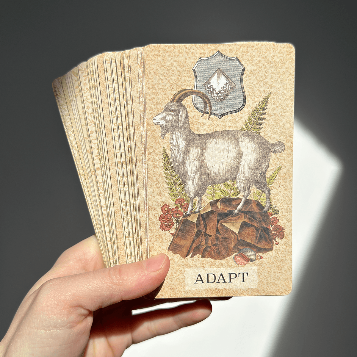 Hand holding a deck of illustrated cards with a goat, shield, and foliage, labeled 'ADAPT'.