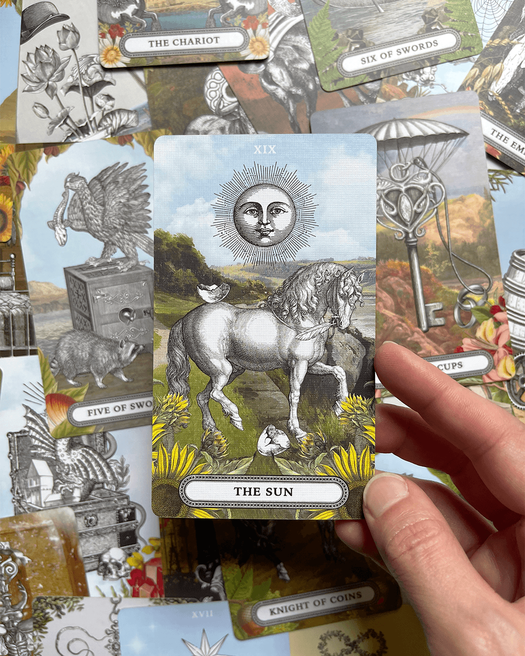 Person holding a tarot card titled 'The Sun' with a horse and sun face in the sky, surrounded by greenery.