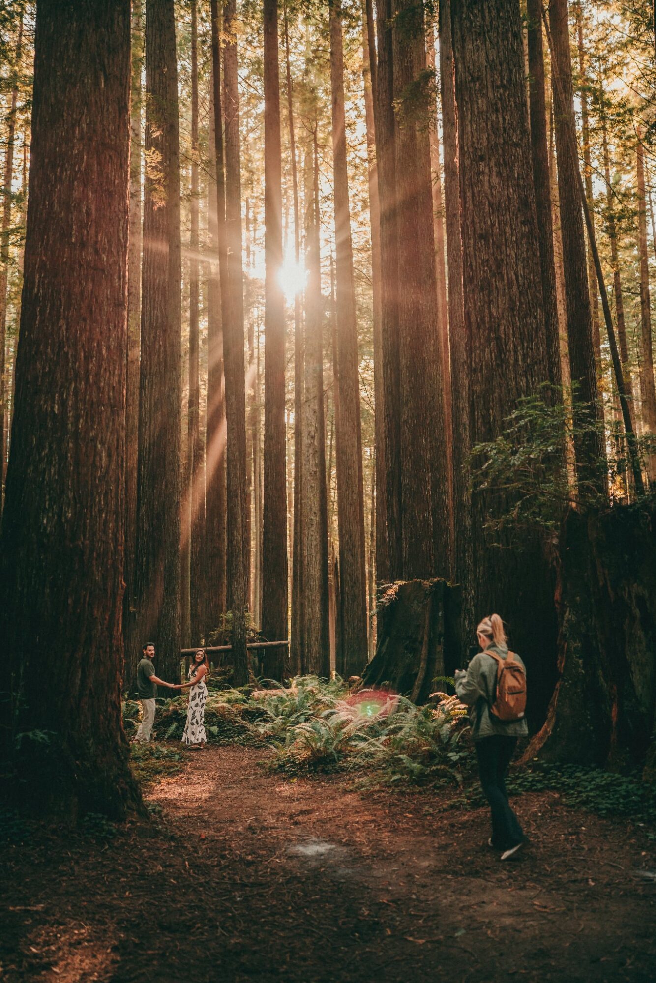 Sunlight filters through tall trees in a forest, with two people and a child near rocks and flowers.