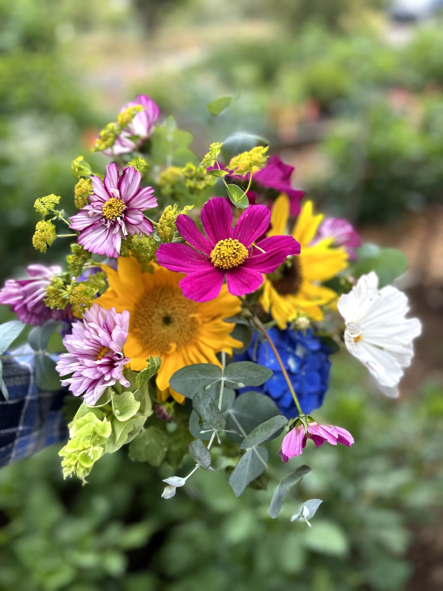 Colorful bouquet of various flowers including pink, yellow, purple, and white blooms with green foliage, outdoors in a garden setting.