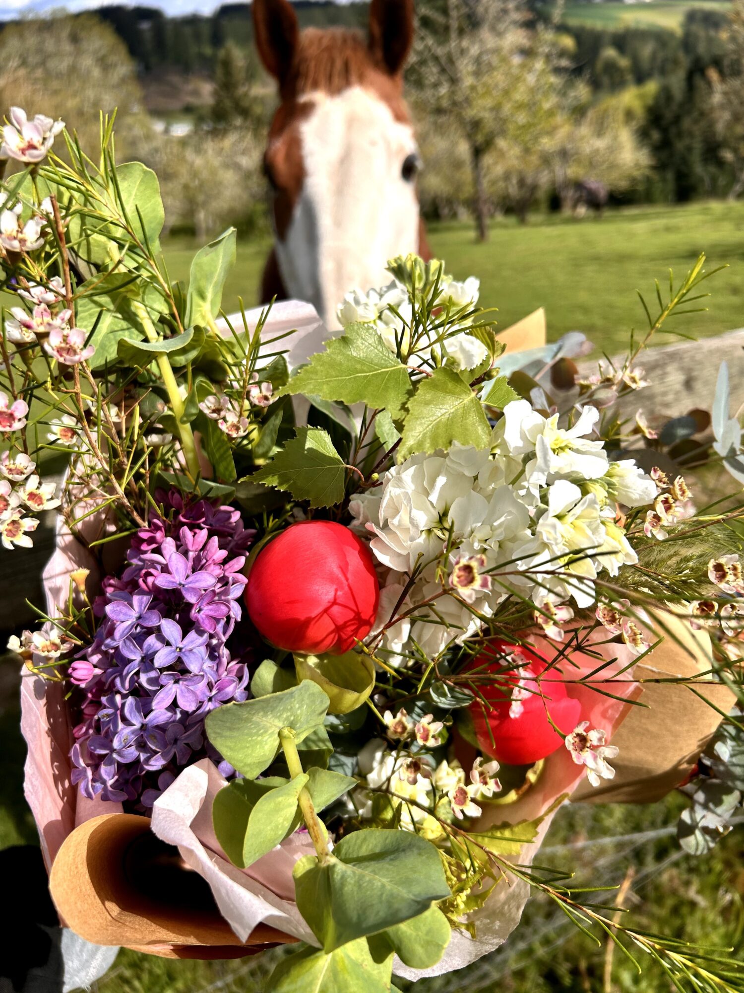 A colorful bouquet of flowers with a horse in the background outdoors, green fields, and trees.