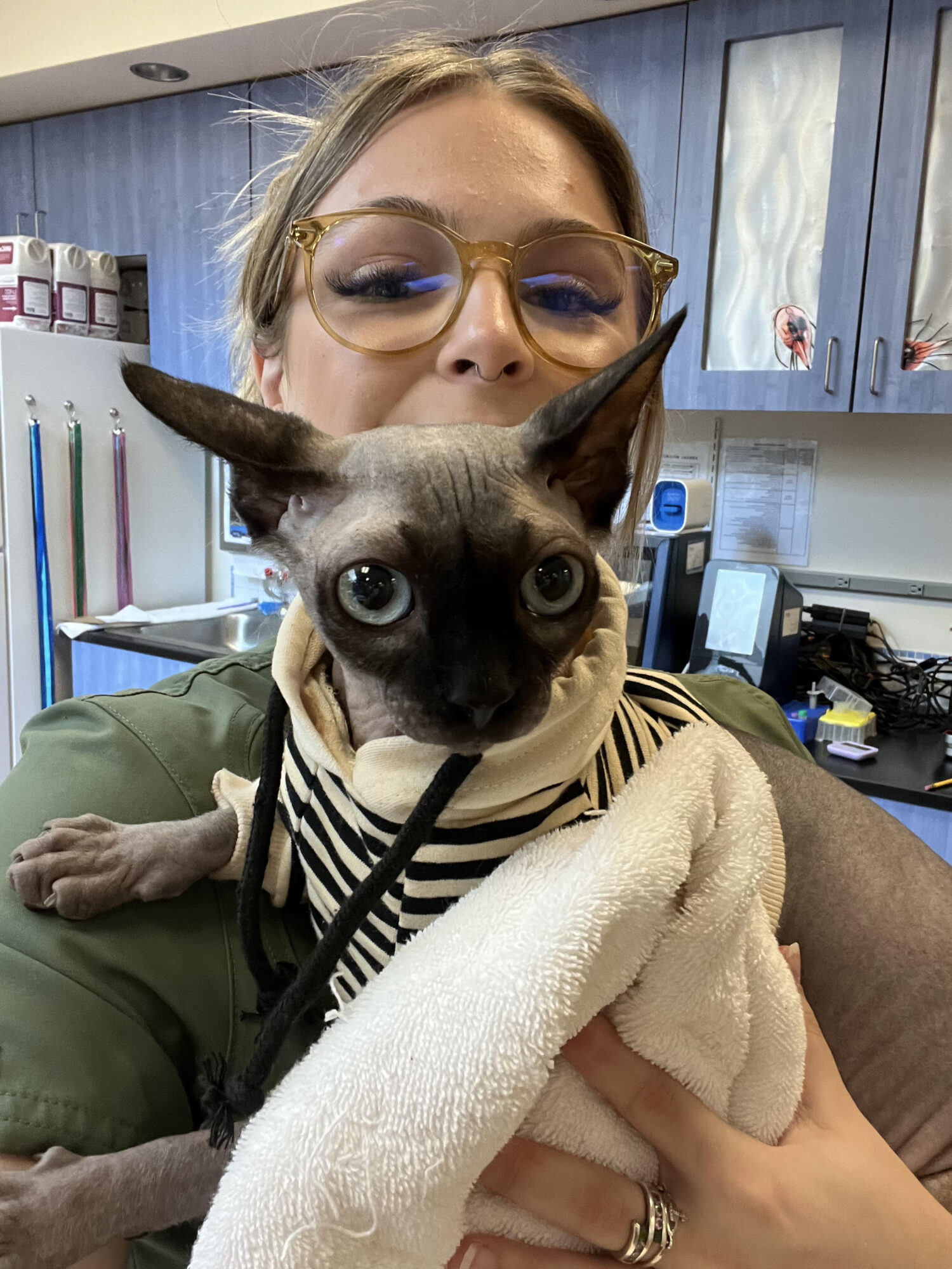 Person holding a small dog with large ears and big eyes, wearing a striped scarf, in a room with cabinets and office supplies.