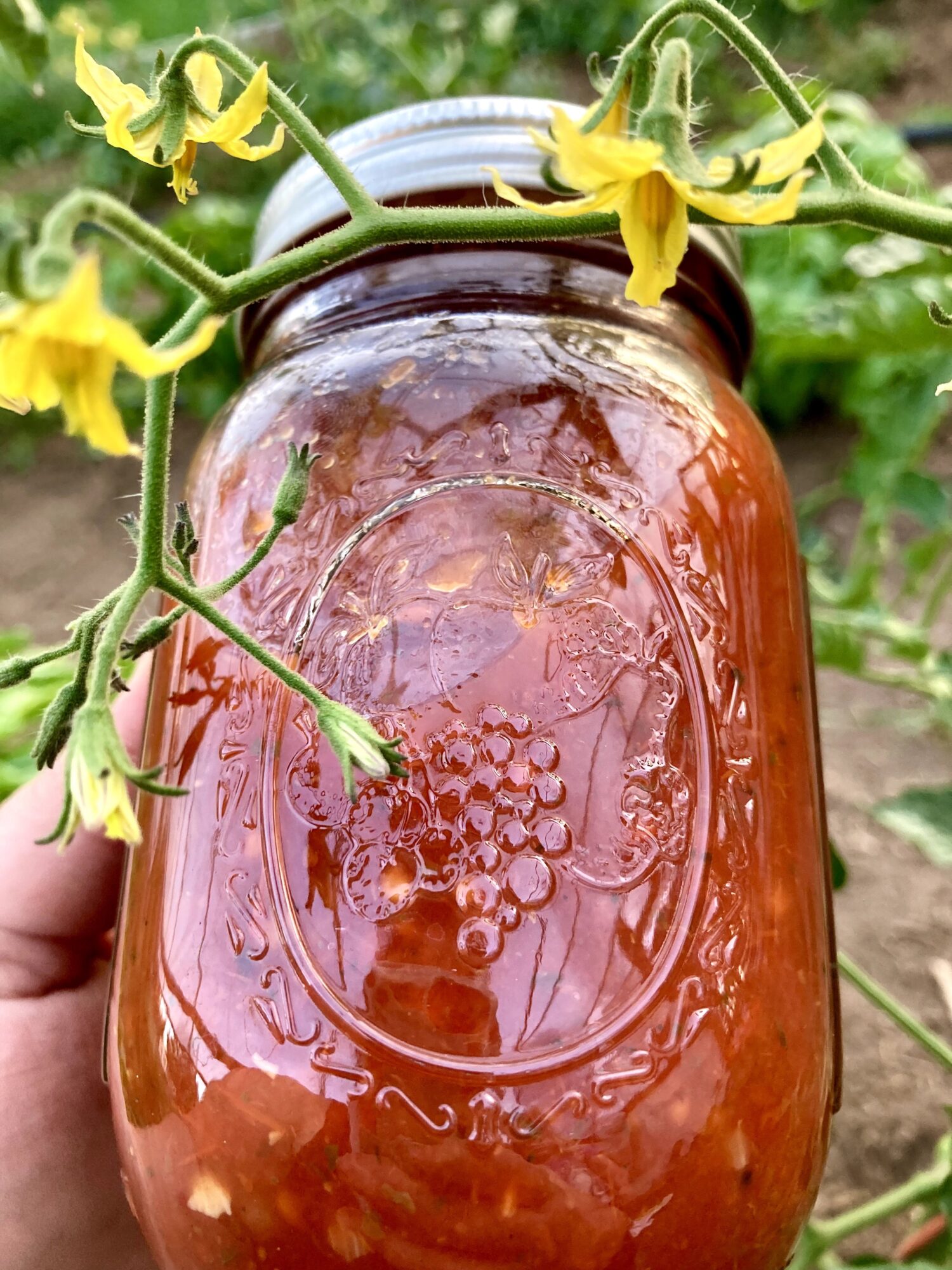 Glass jar filled with honey, surrounded by yellow tomato flowers, outdoors in a garden setting.