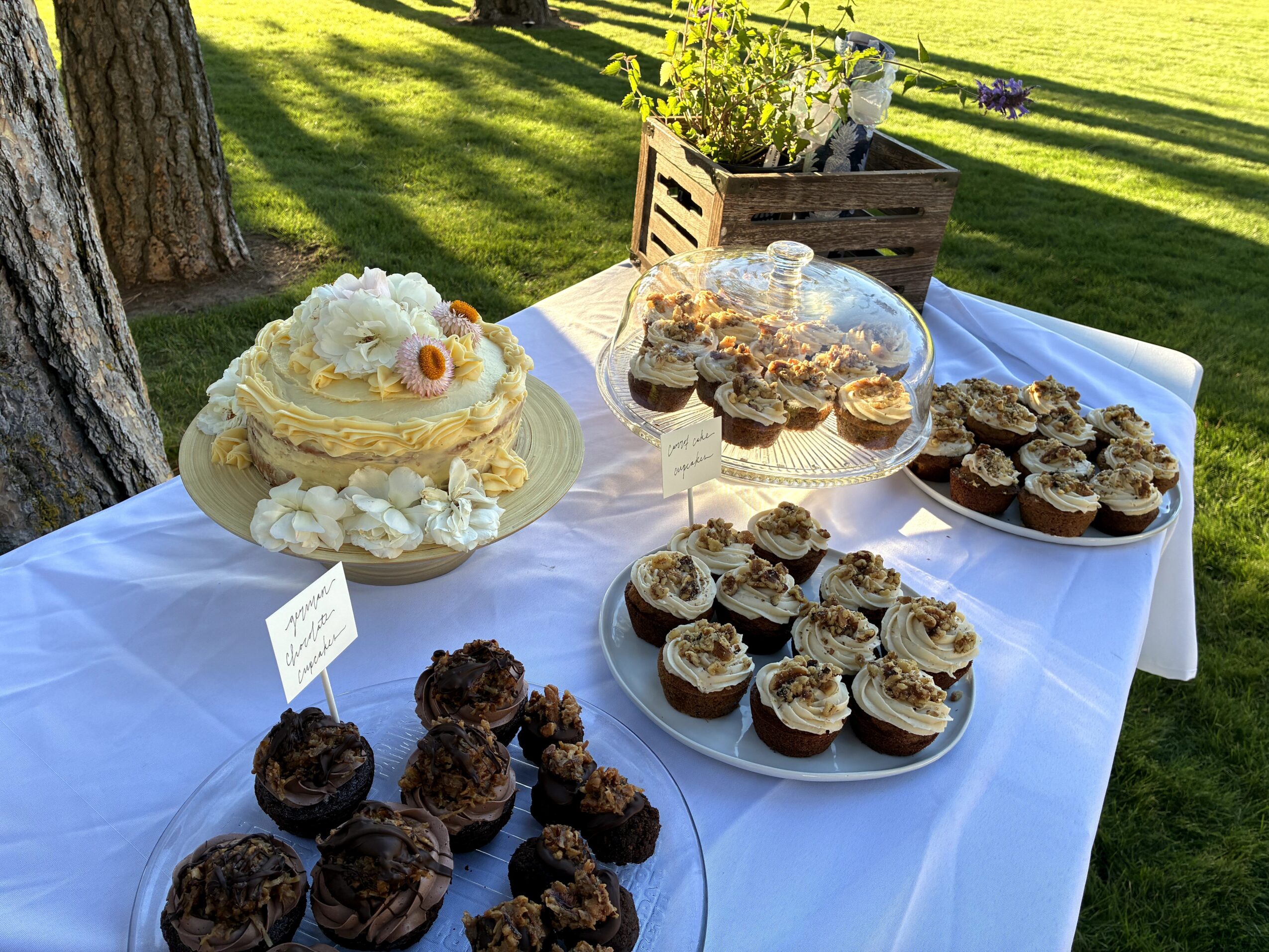Outdoor table with cake and cupcakes on a white tablecloth, surrounded by grass and trees, with a wooden crate in the background.