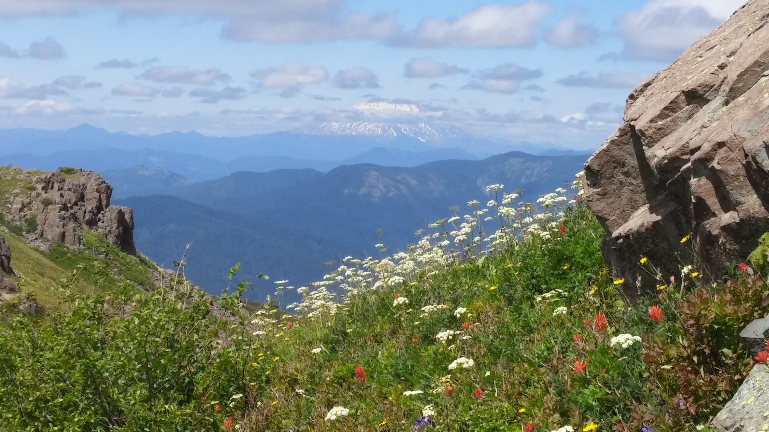 Mountain landscape with wildflowers, rocky cliff, and distant mountain ranges under a partly cloudy sky.