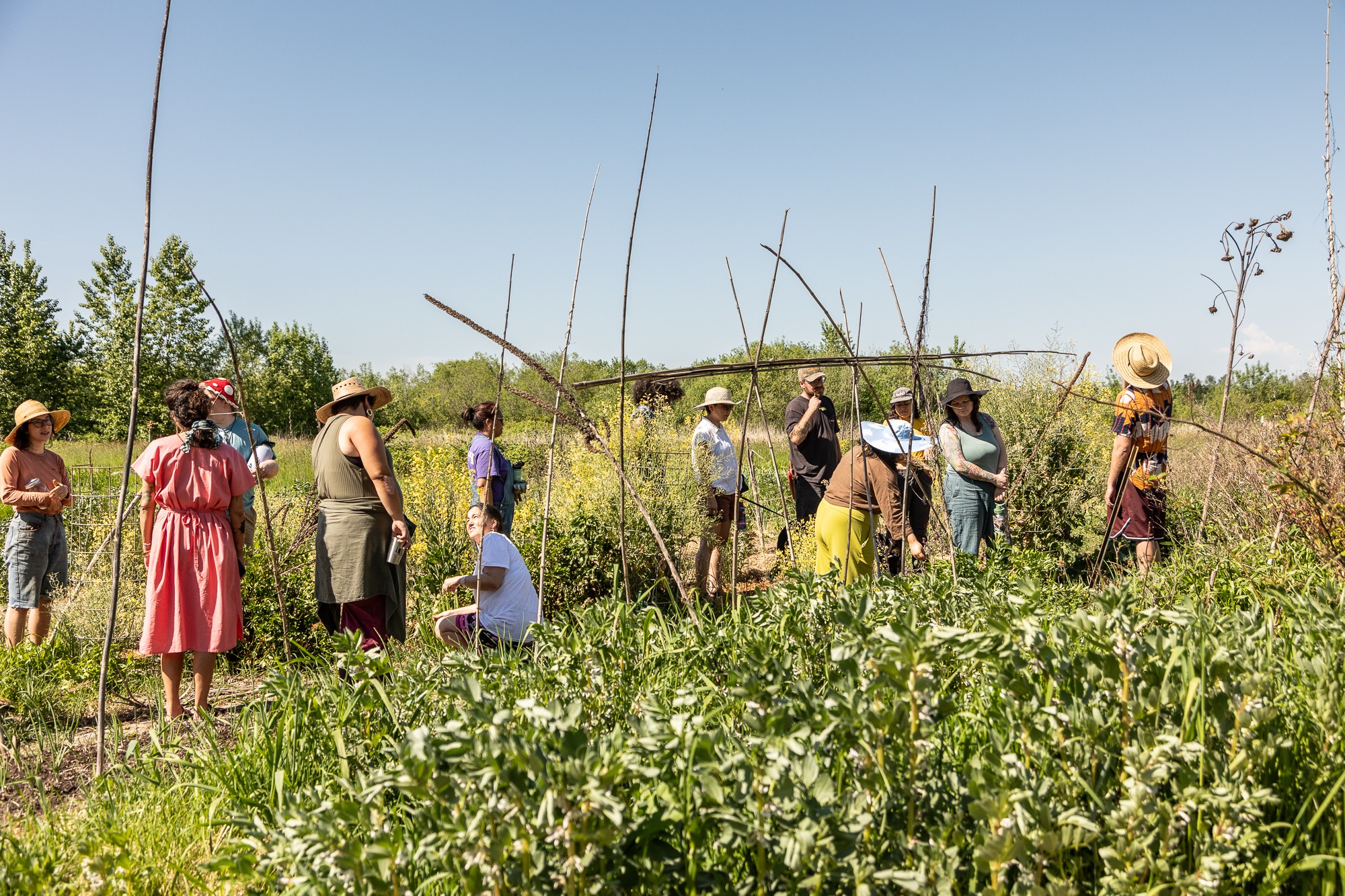 Group of people standing and sitting in a field with tall plants, some wearing hats, under a clear sky.