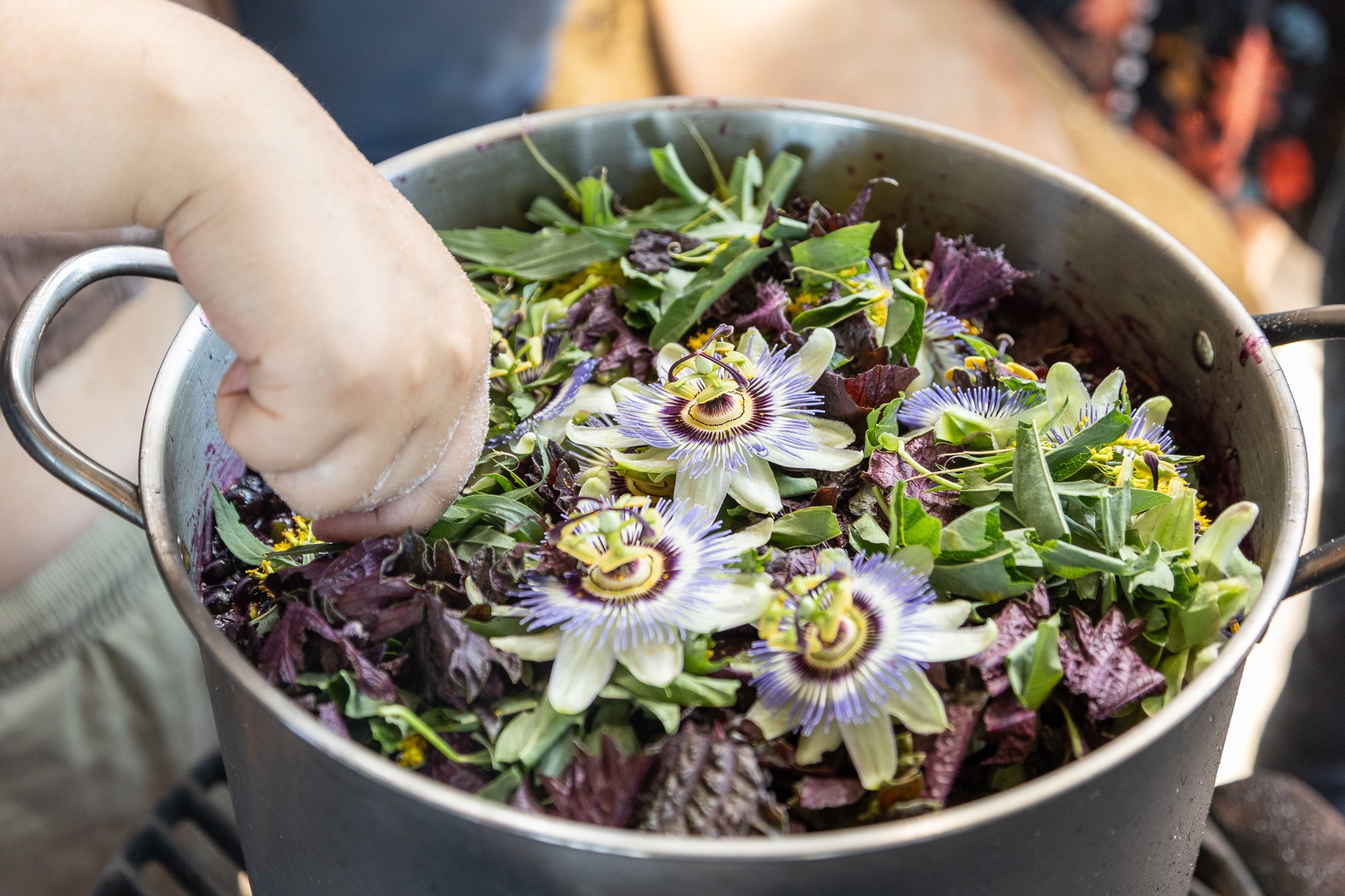Person's hand stirring a large pot filled with purple and white flowers and green leaves.