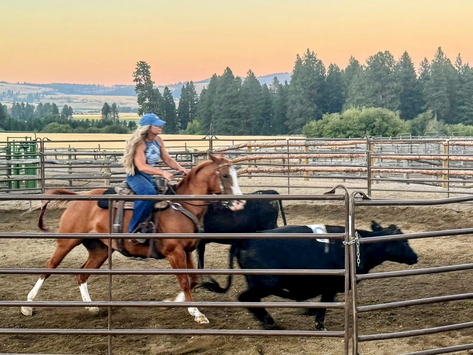 Person riding a horse in a fenced outdoor area with trees and a sunset sky in the background.