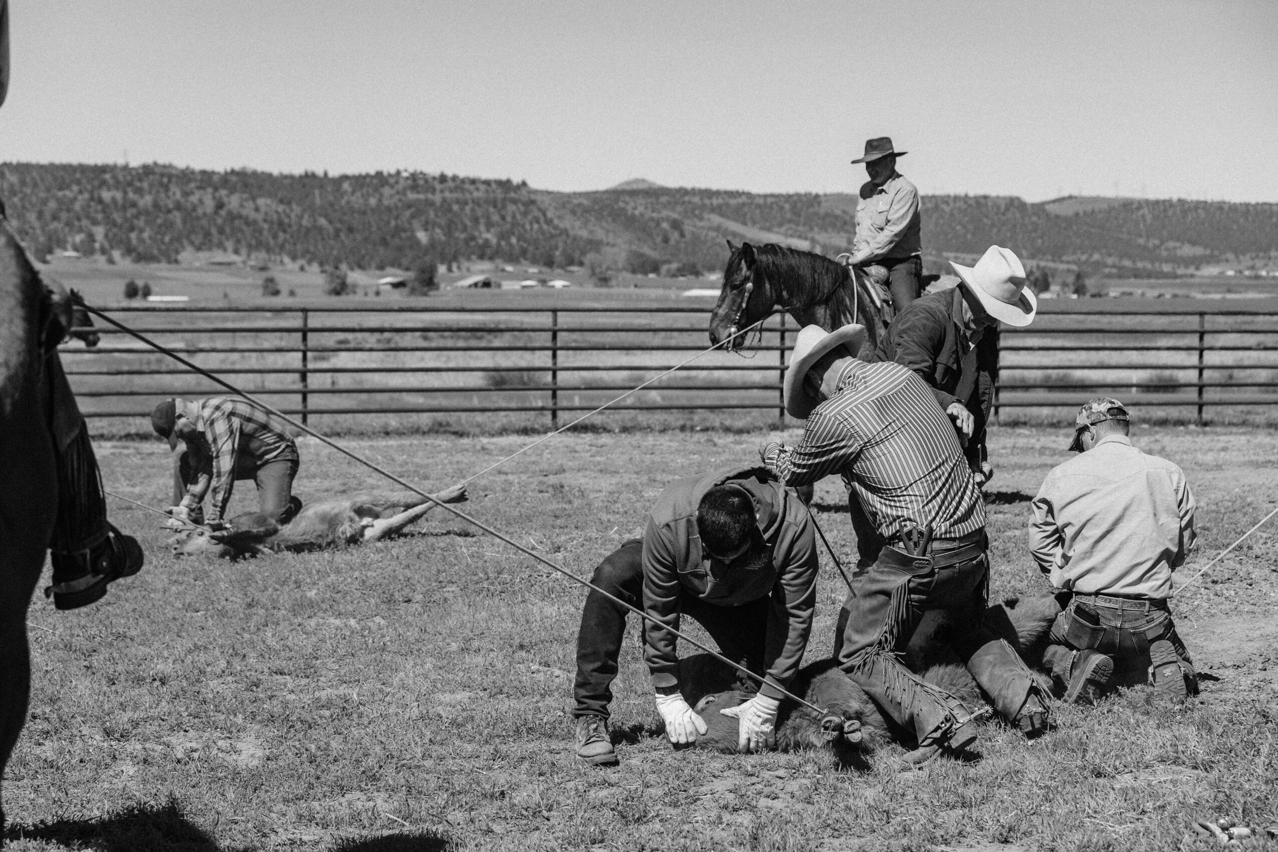 Group of people working on a farm with a person on horseback in the background, fencing, and open landscape.