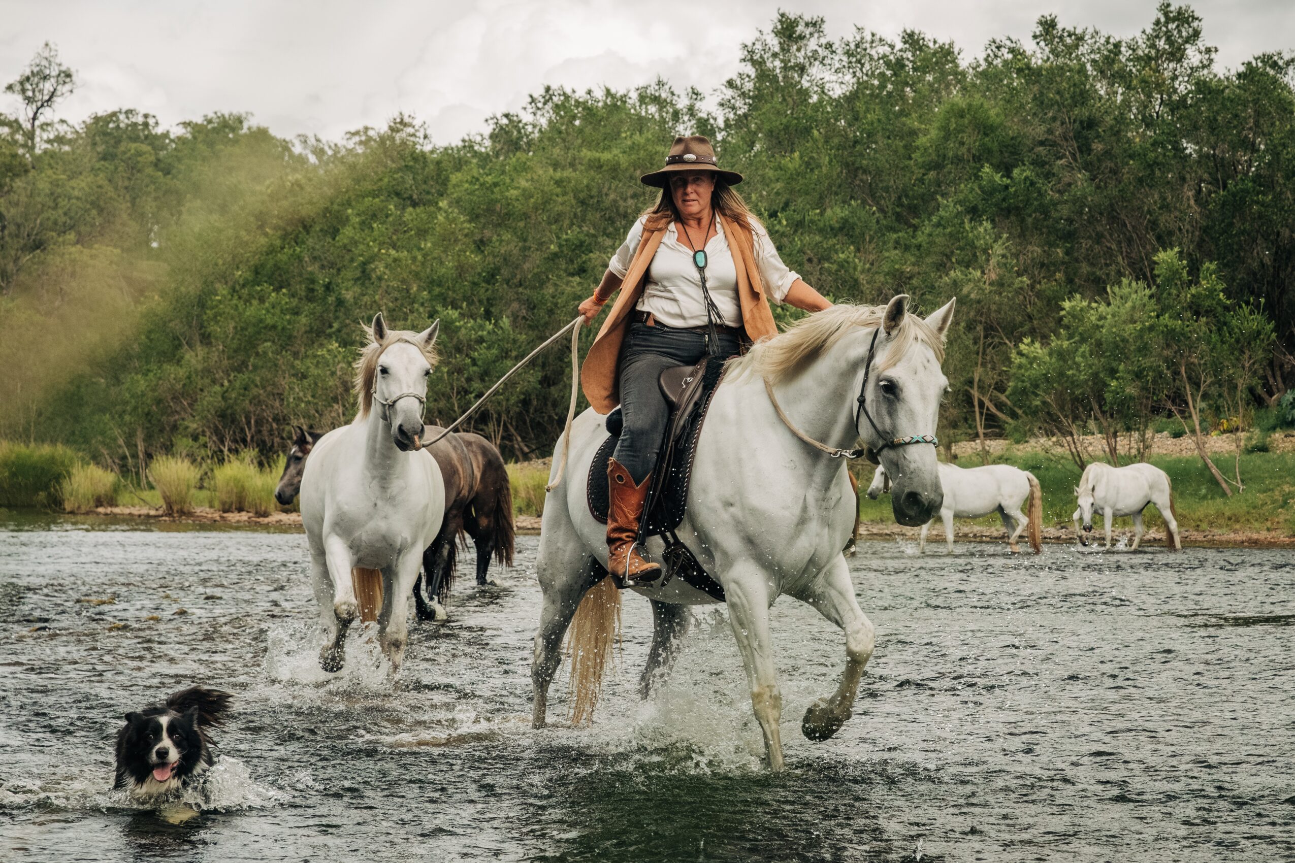 Person riding a white horse through water with other horses and a dog nearby, trees in the background.