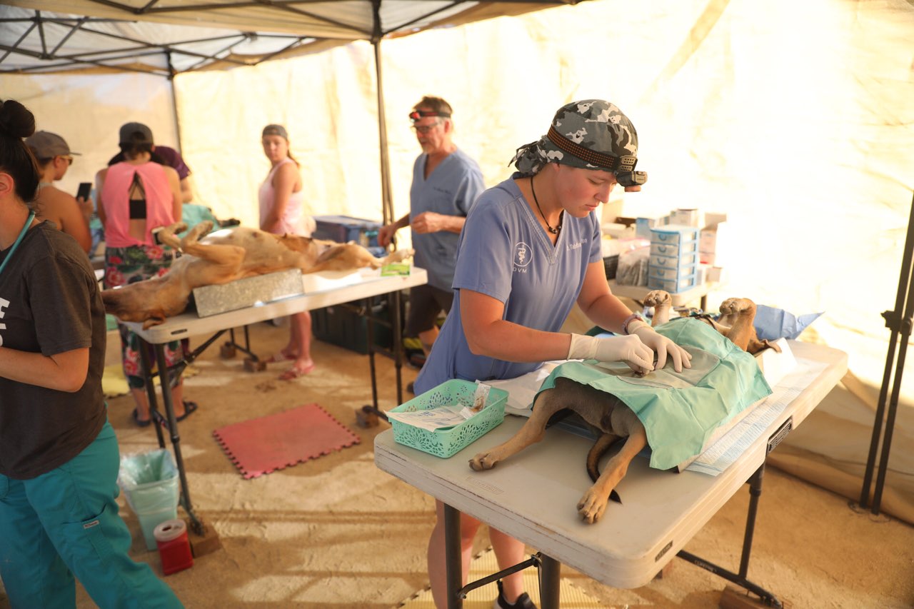 People working at tables inside a large tent, handling supplies and preparing items, with some wearing gloves and hats.