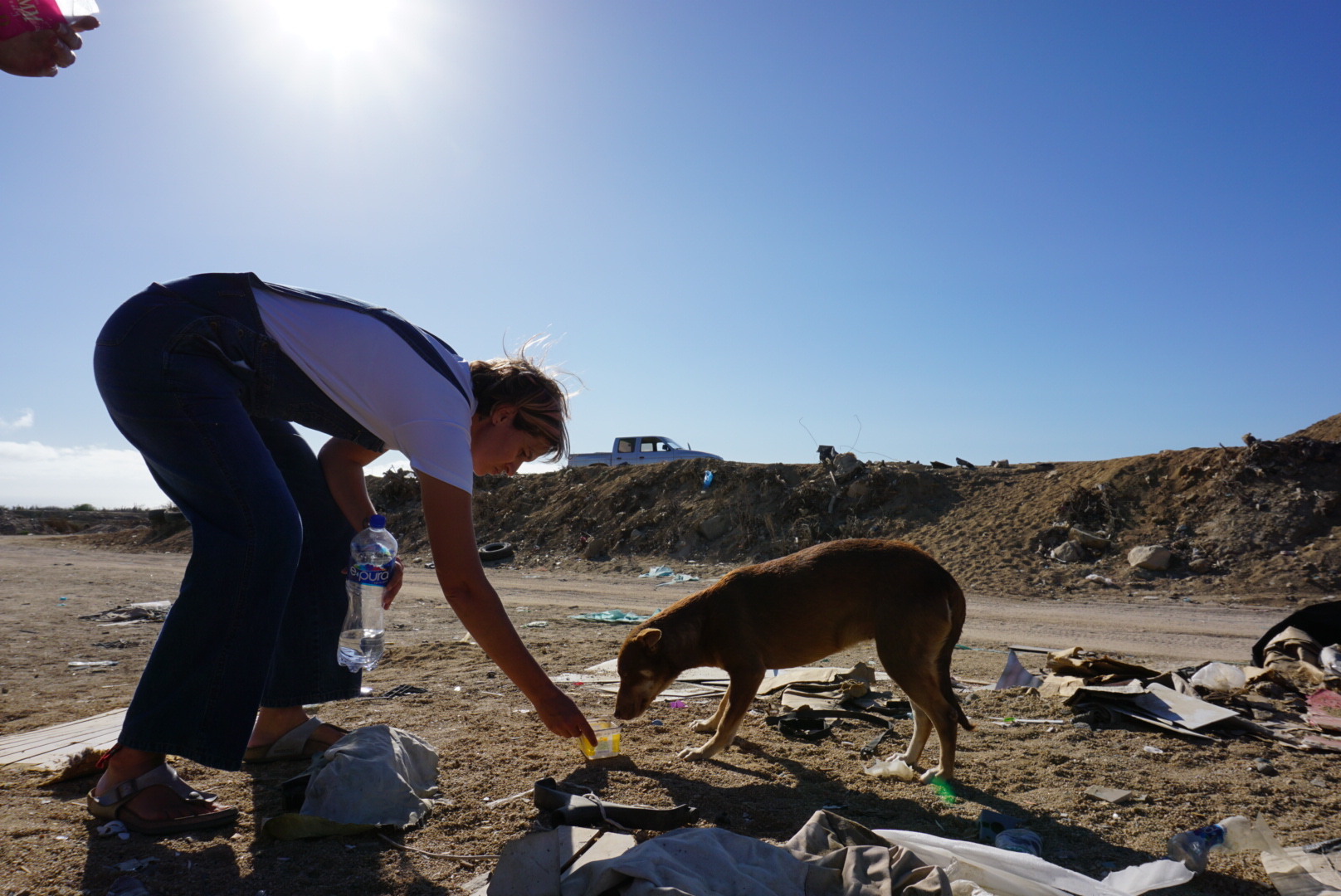 Person bending down on a sandy beach with a dog, under a clear blue sky, with other people and objects nearby.
