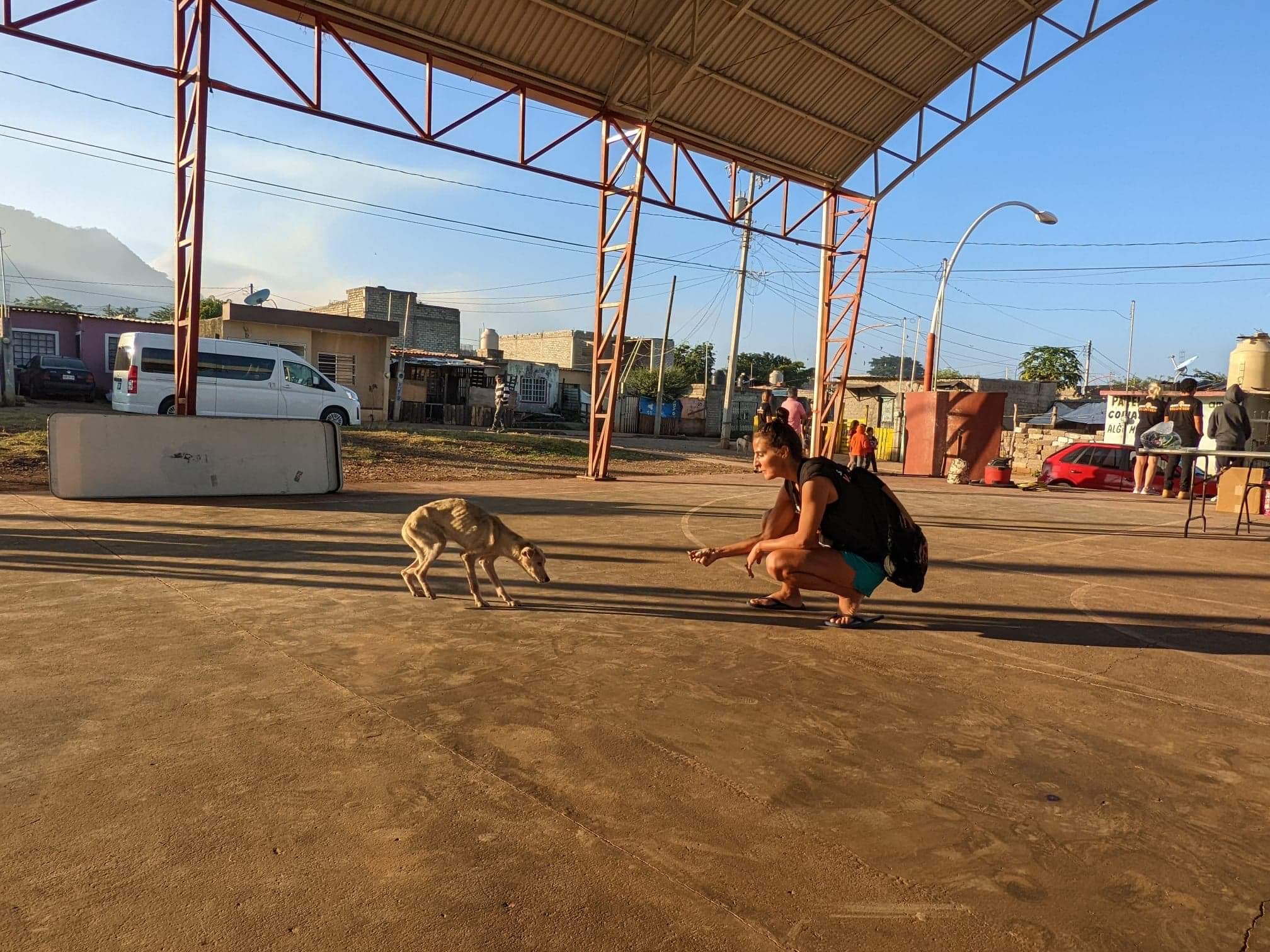 Person crouching near a dog on a dirt ground under a large open-sided structure with a metal roof, in a town setting.