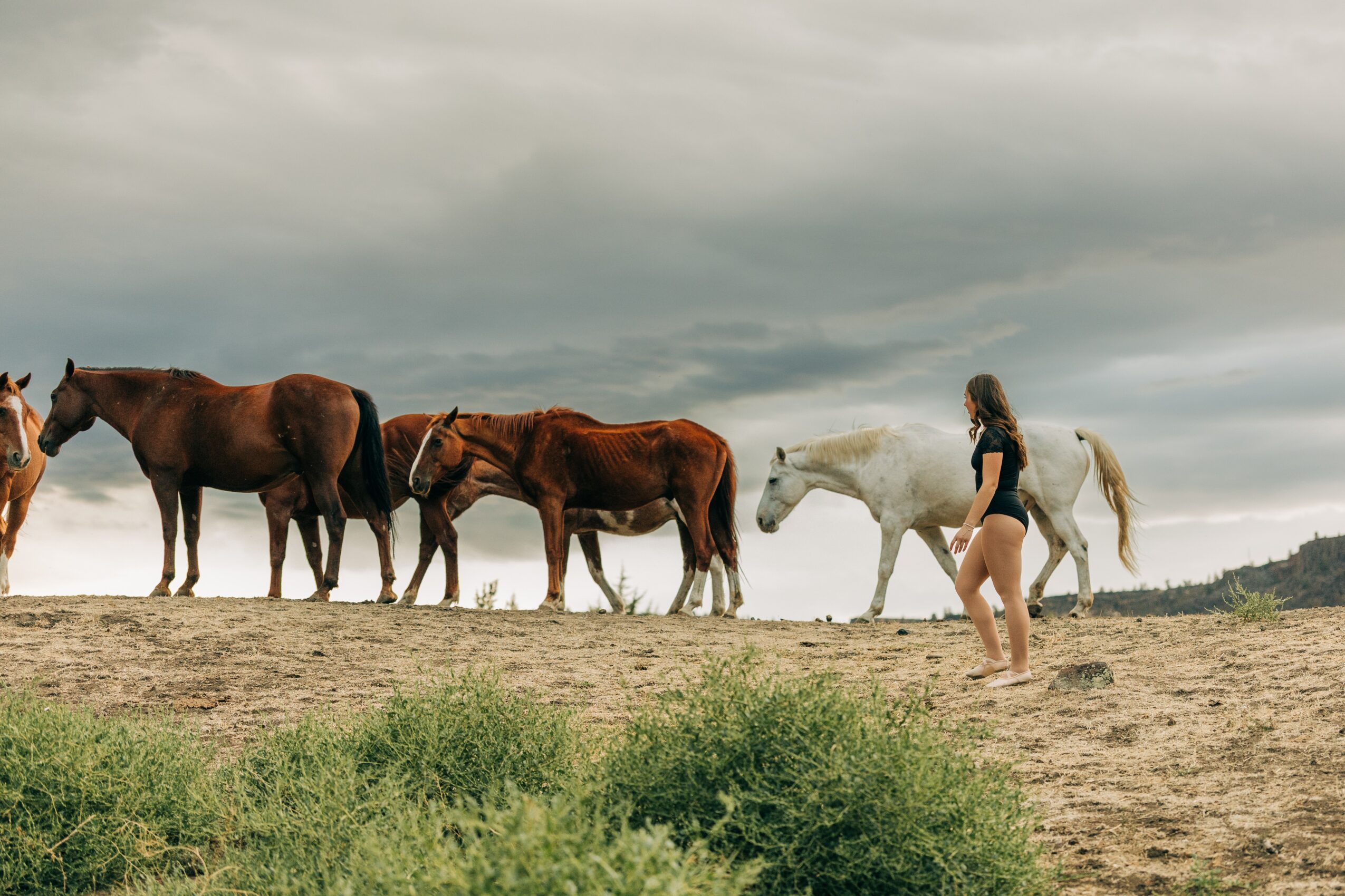 Person walking near a line of horses on a hill under cloudy sky, with green grass in foreground.
