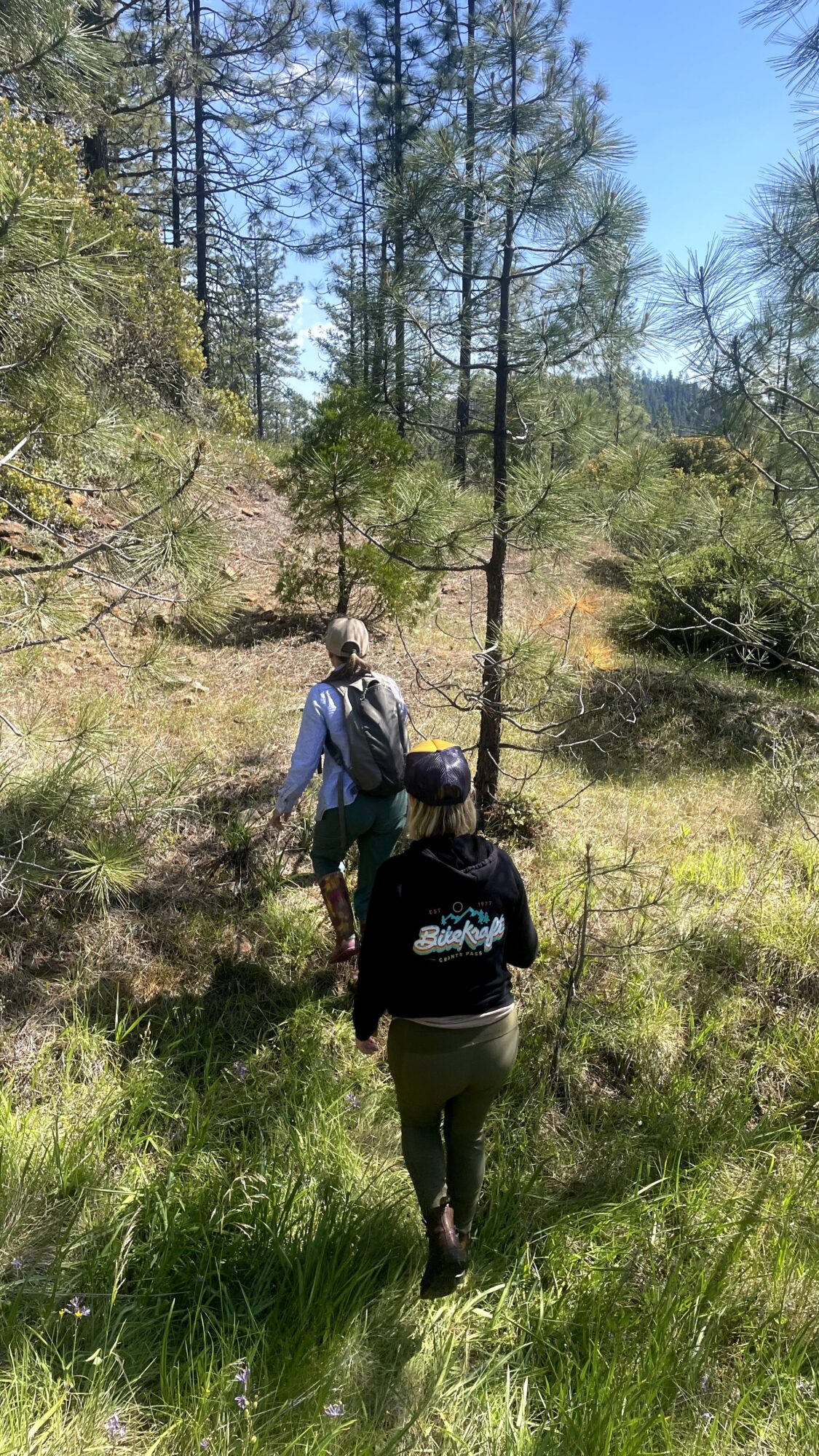 Two people walking through a grassy forested area with trees and blue sky, carrying backpacks.