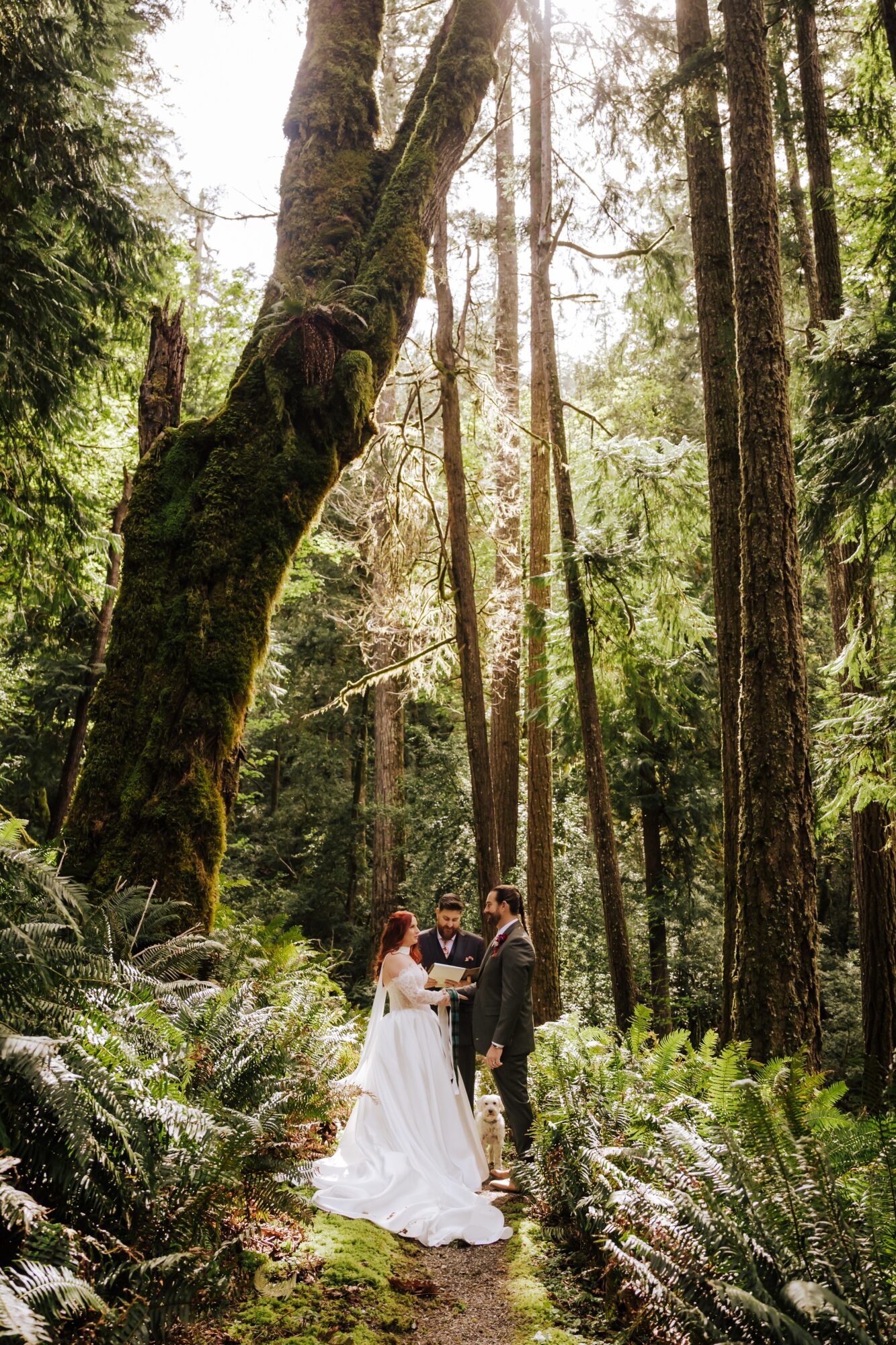 A wedding ceremony taking place in a dense forest with tall trees and lush greenery, couple standing together, officiant present.