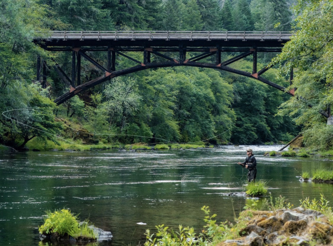 Person fishing in river with a bridge overhead surrounded by green trees.