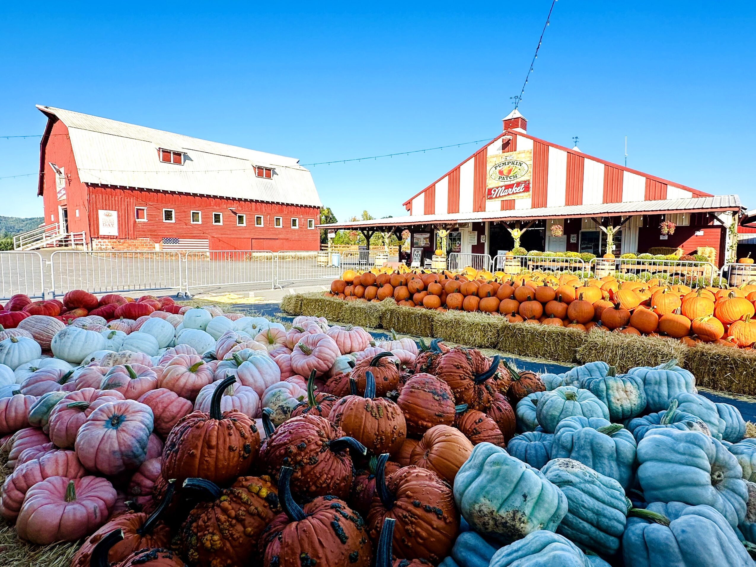 Farm stand with pumpkins and gourds outside a red barn and striped building under a blue sky.