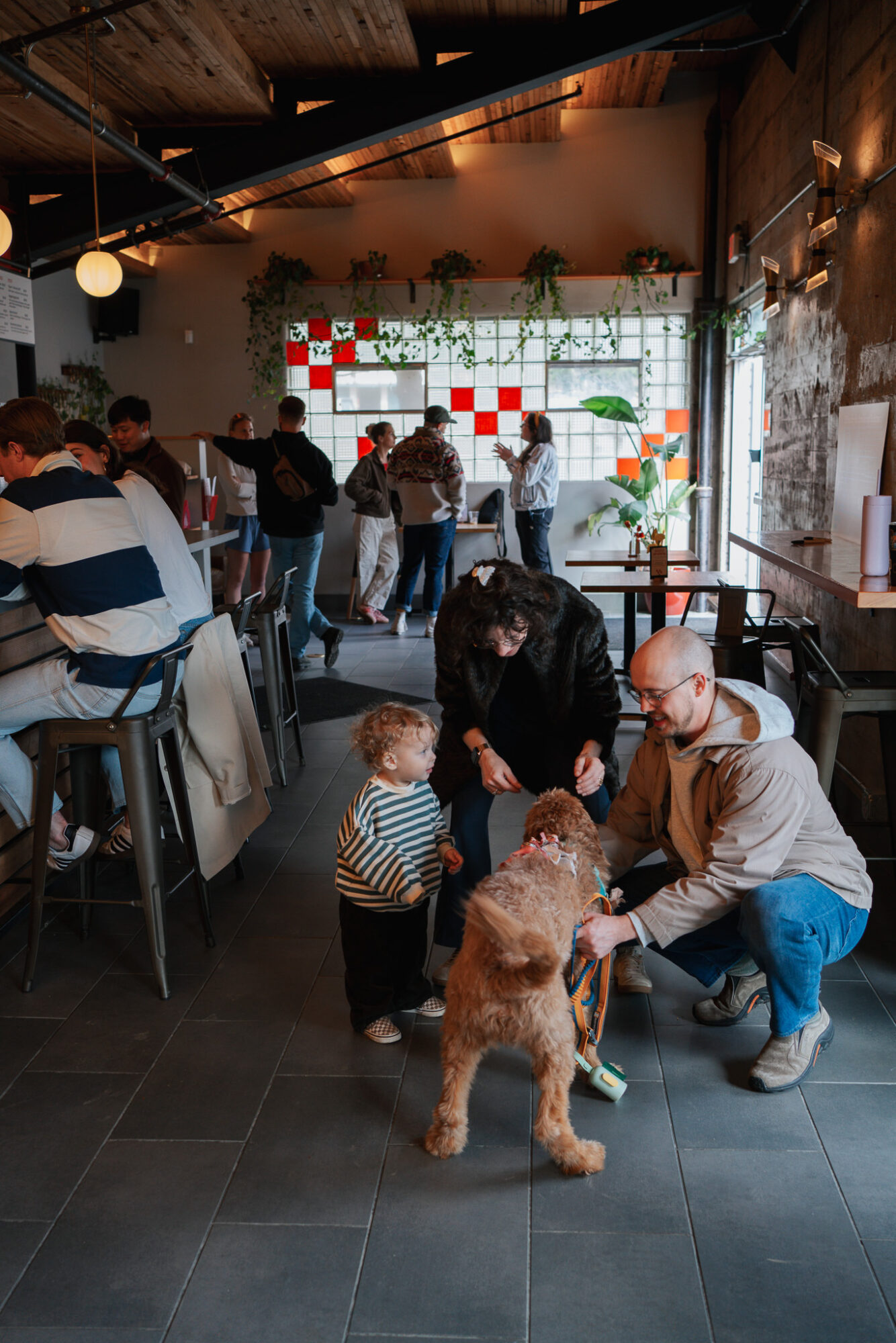 People gather inside a cafe with a group of children and a dog, large windows, and warm lighting.