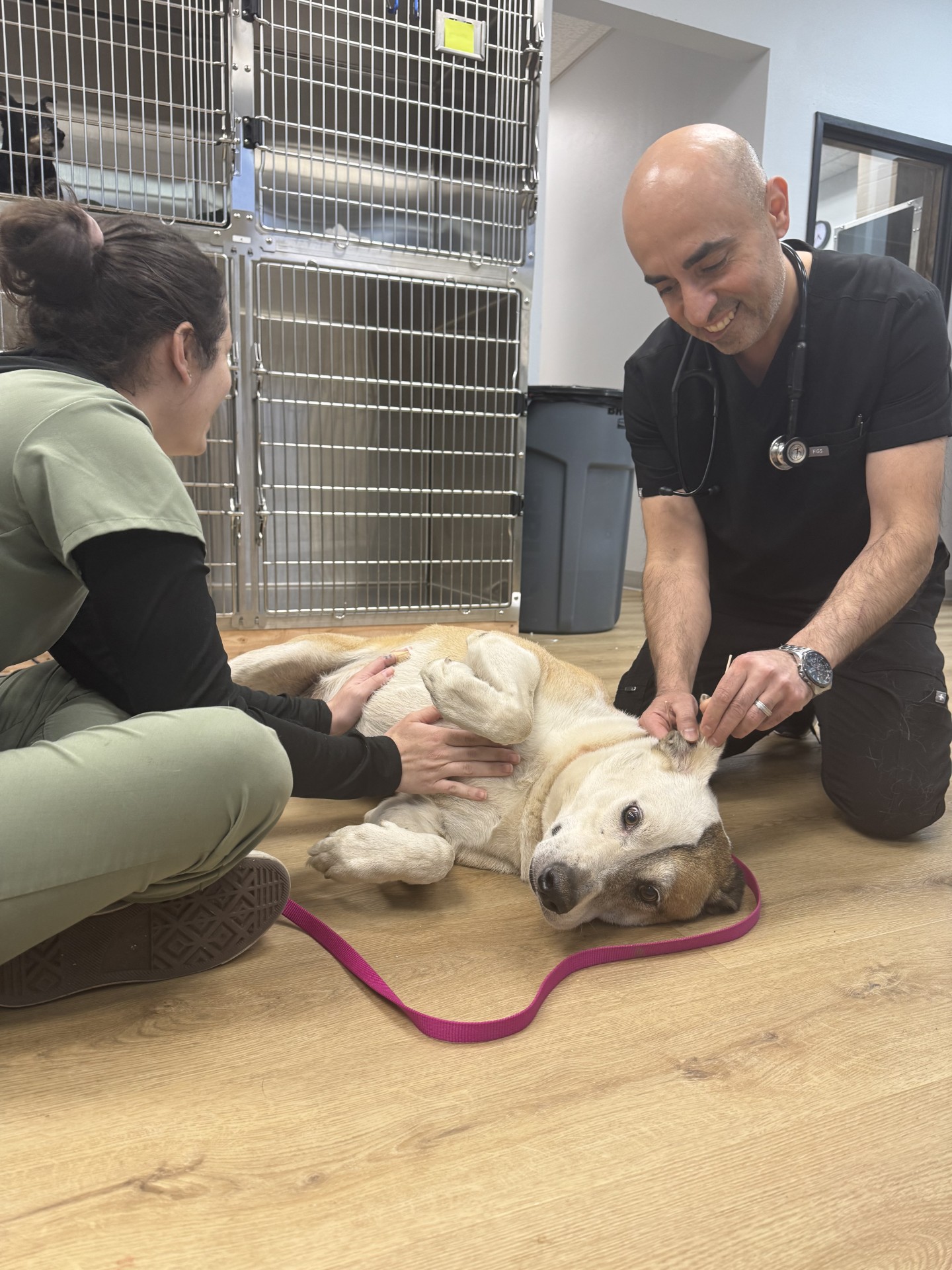 Two people and a dog lying on the floor, with the dog on its back and the people petting it, in a room with cages.