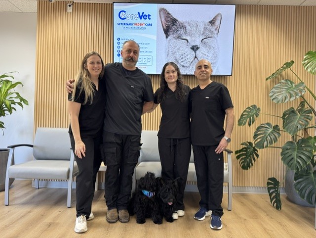 Four people in black uniforms stand together in a room with wooden walls and plants, smiling. A large screen shows a cat image.