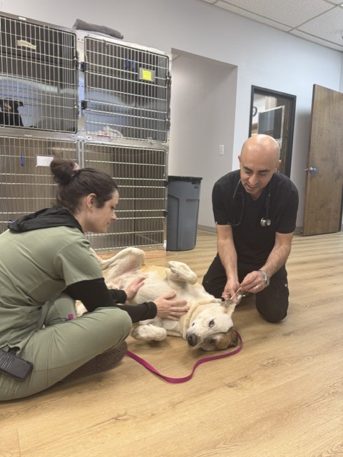 Two people and a dog lying on the floor indoors, with cages and a trash bin in the background.