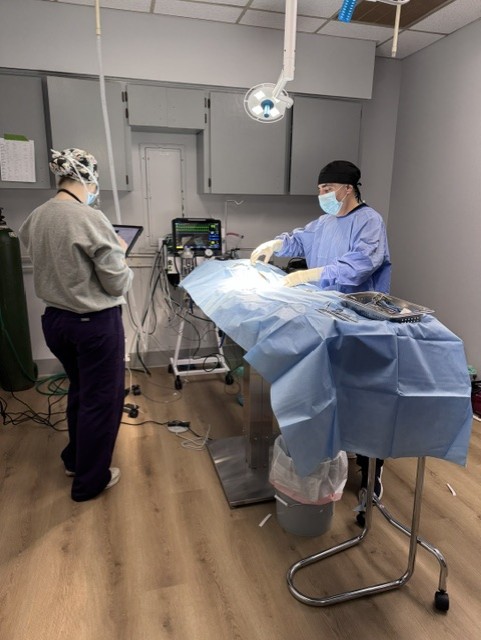 Two medical professionals in scrubs and masks perform a procedure in an operating room with medical equipment and a patient on the table.