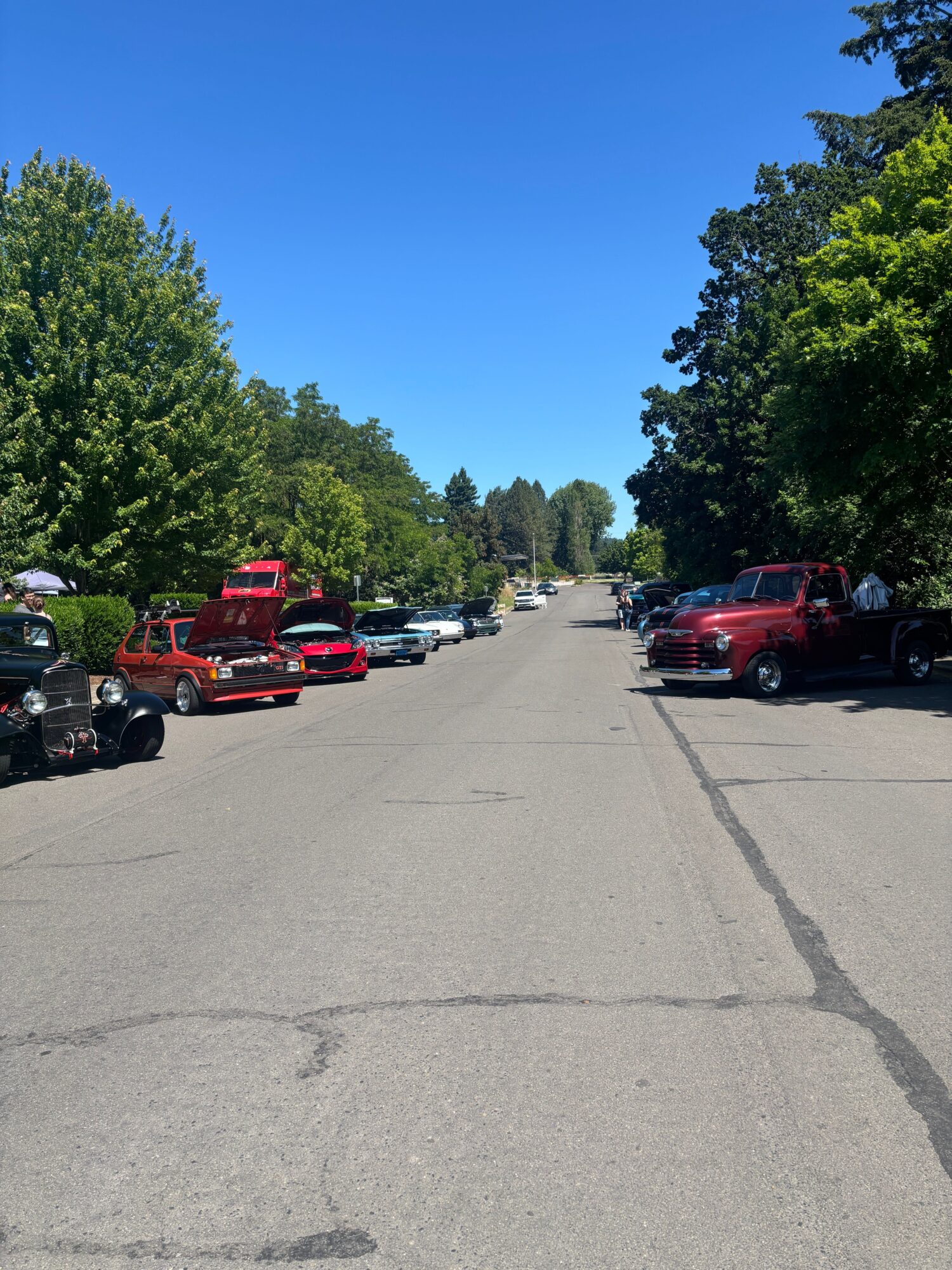 Parked cars line a paved road beneath leafy trees and a clear blue sky.
