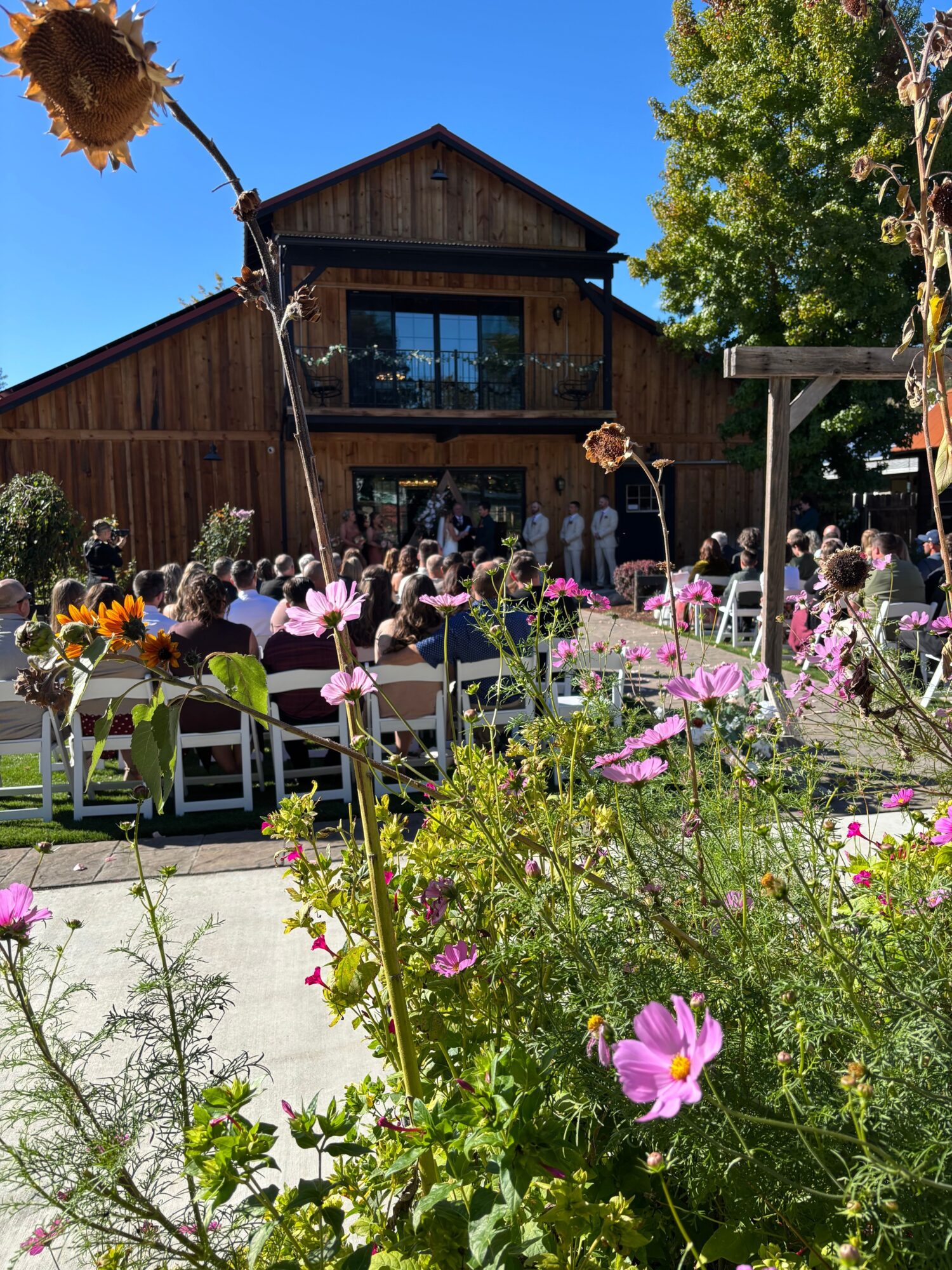 Wooden house behind a garden of pink flowers and greenery under a blue sky.