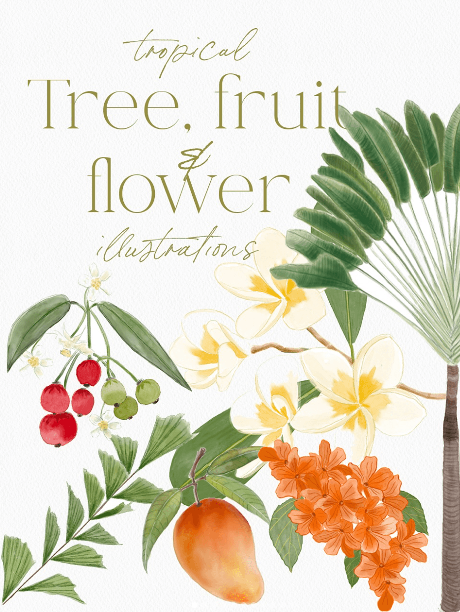 Botanical illustration with tropical leaves, red berries, an orange fruit, and white and orange flowers beneath the title “Tree, fruit flower.”