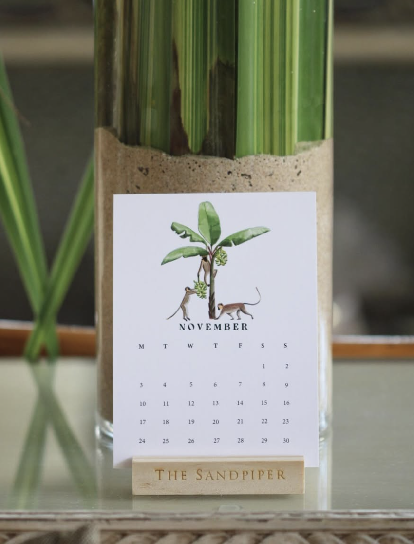 A November calendar with a plant illustration stands in a glass vase holding tall green stalks.