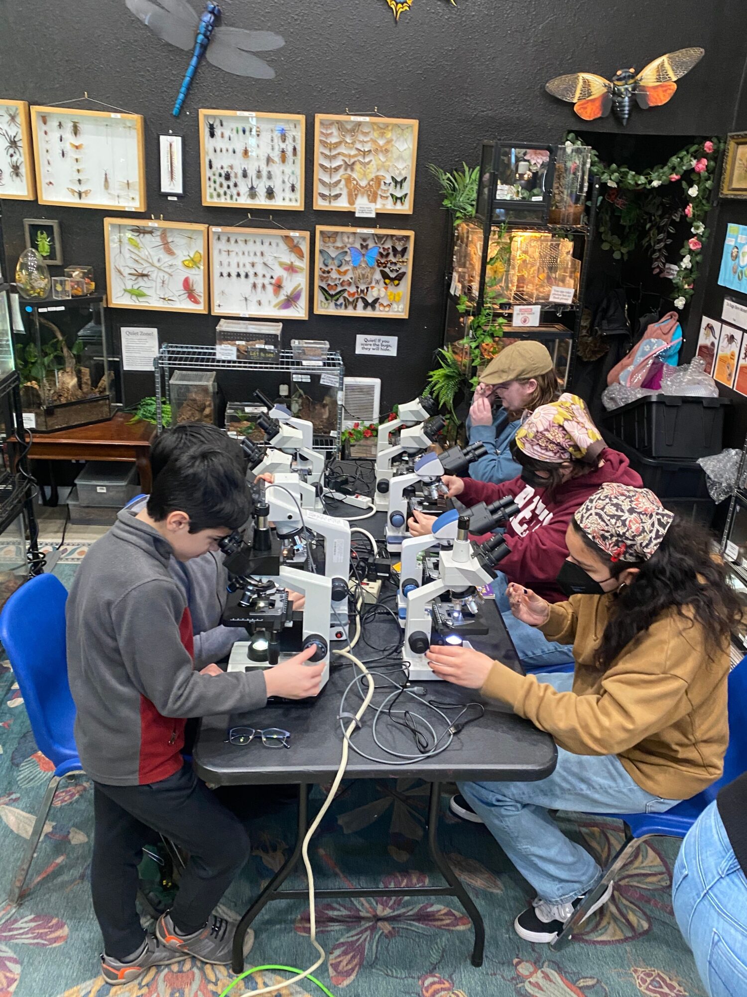 Several people sit around a table using microscopes and electronic equipment in a decorated room.