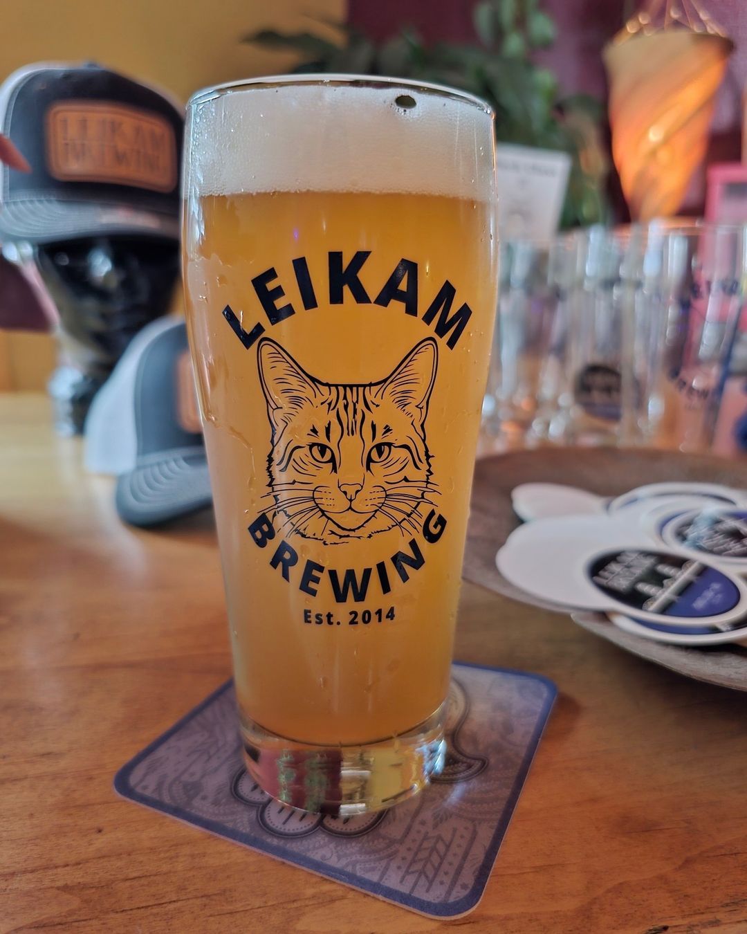 A glass of amber beer with a cat illustration and “Leikam Bräu” lettering sits on a coaster at a bar.